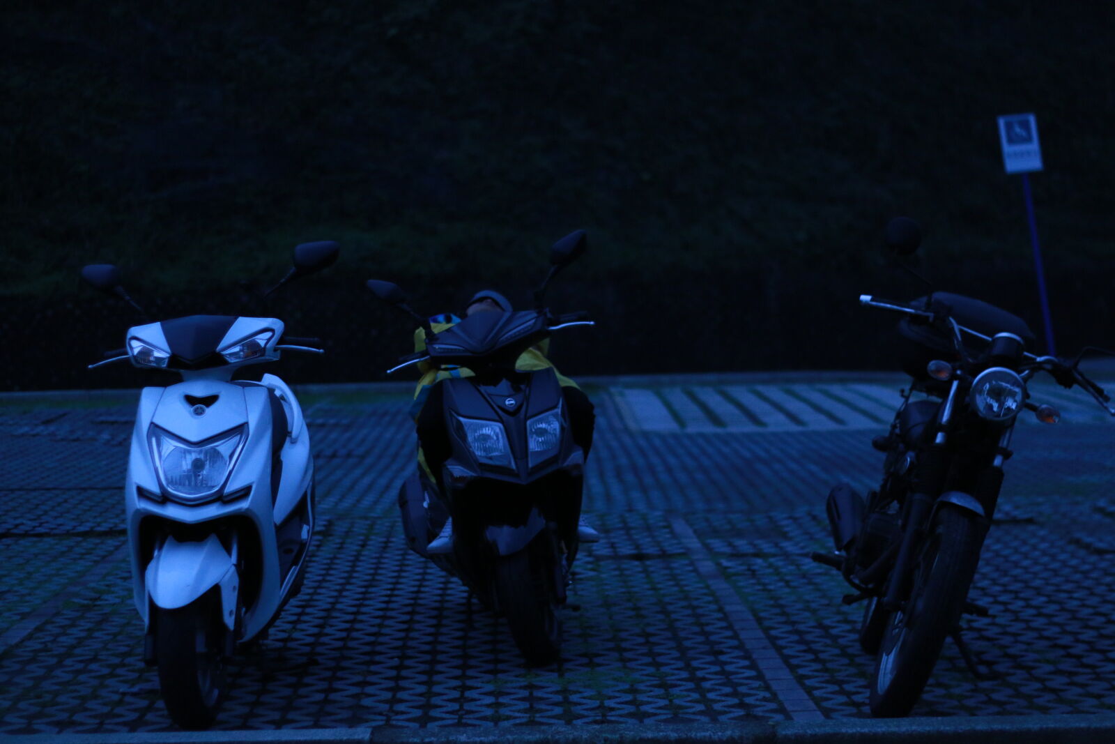 Canon EOS 70D + Canon EF 50mm F1.8 II sample photo