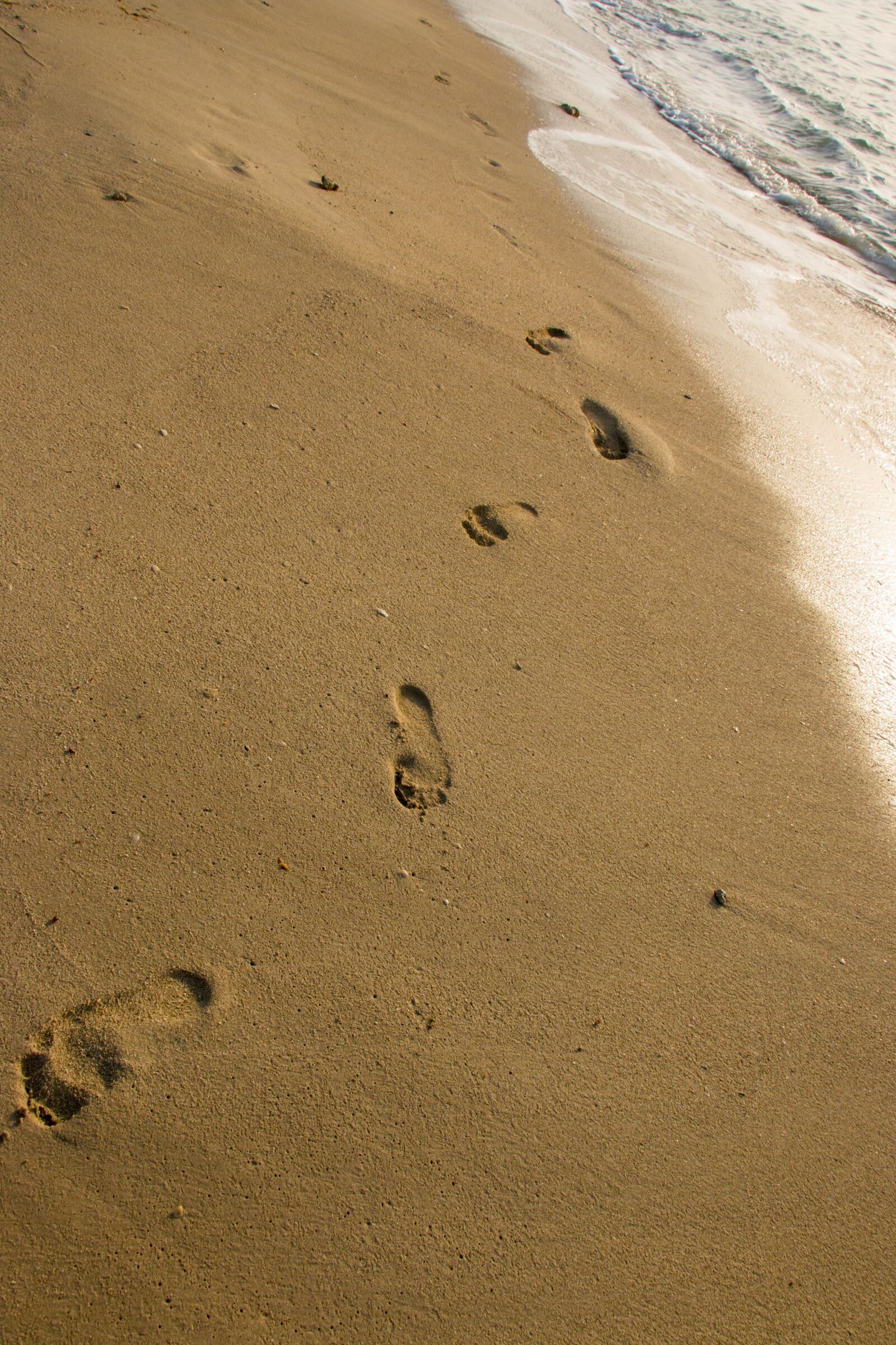 Canon EOS 70D sample photo. Footprints, beach, track photography