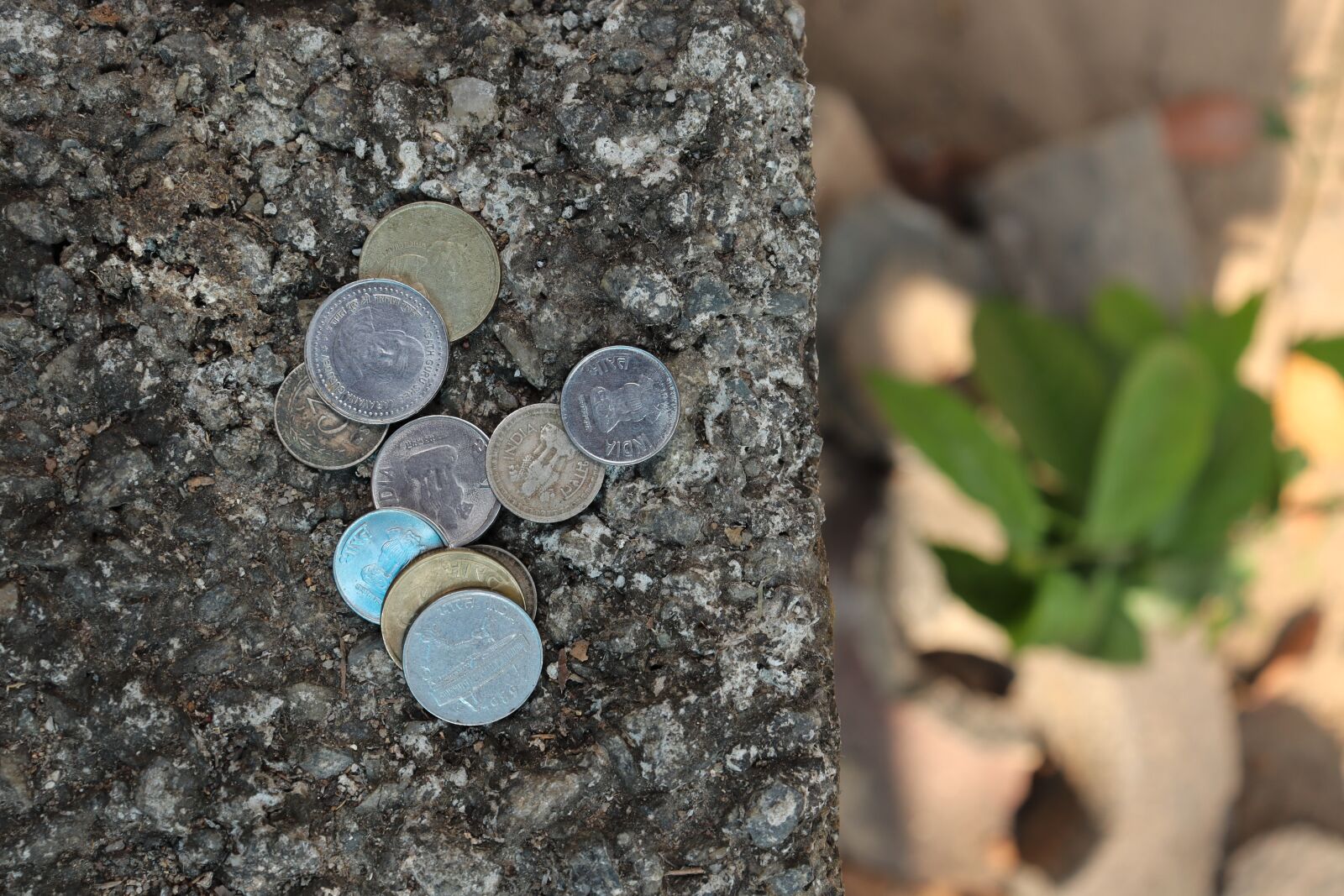 Canon EOS 250D (EOS Rebel SL3 / EOS Kiss X10 / EOS 200D II) sample photo. Coins, finance, money photography