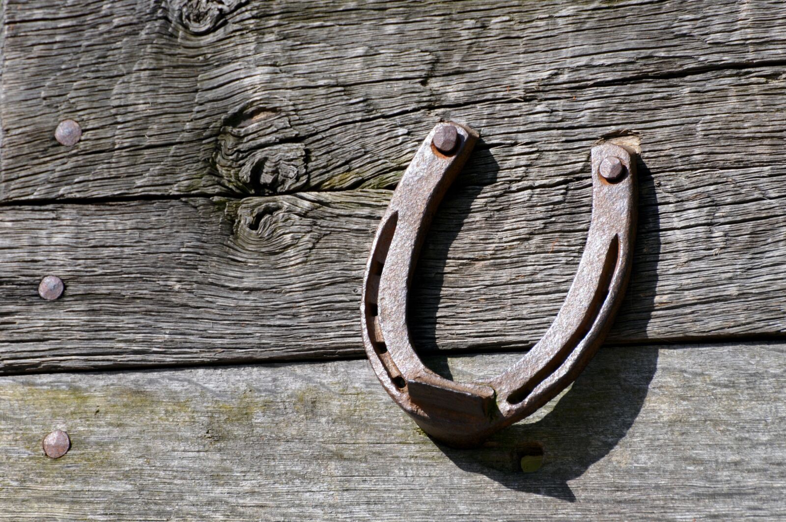 Nikon D300 sample photo. Horseshoe, background, wood photography