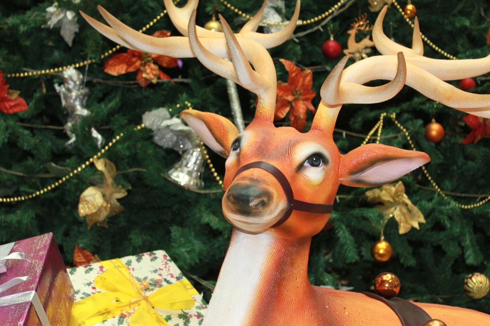Canon EOS 500D (EOS Rebel T1i / EOS Kiss X3) sample photo. Reindeer, christmas, tree, decoration photography