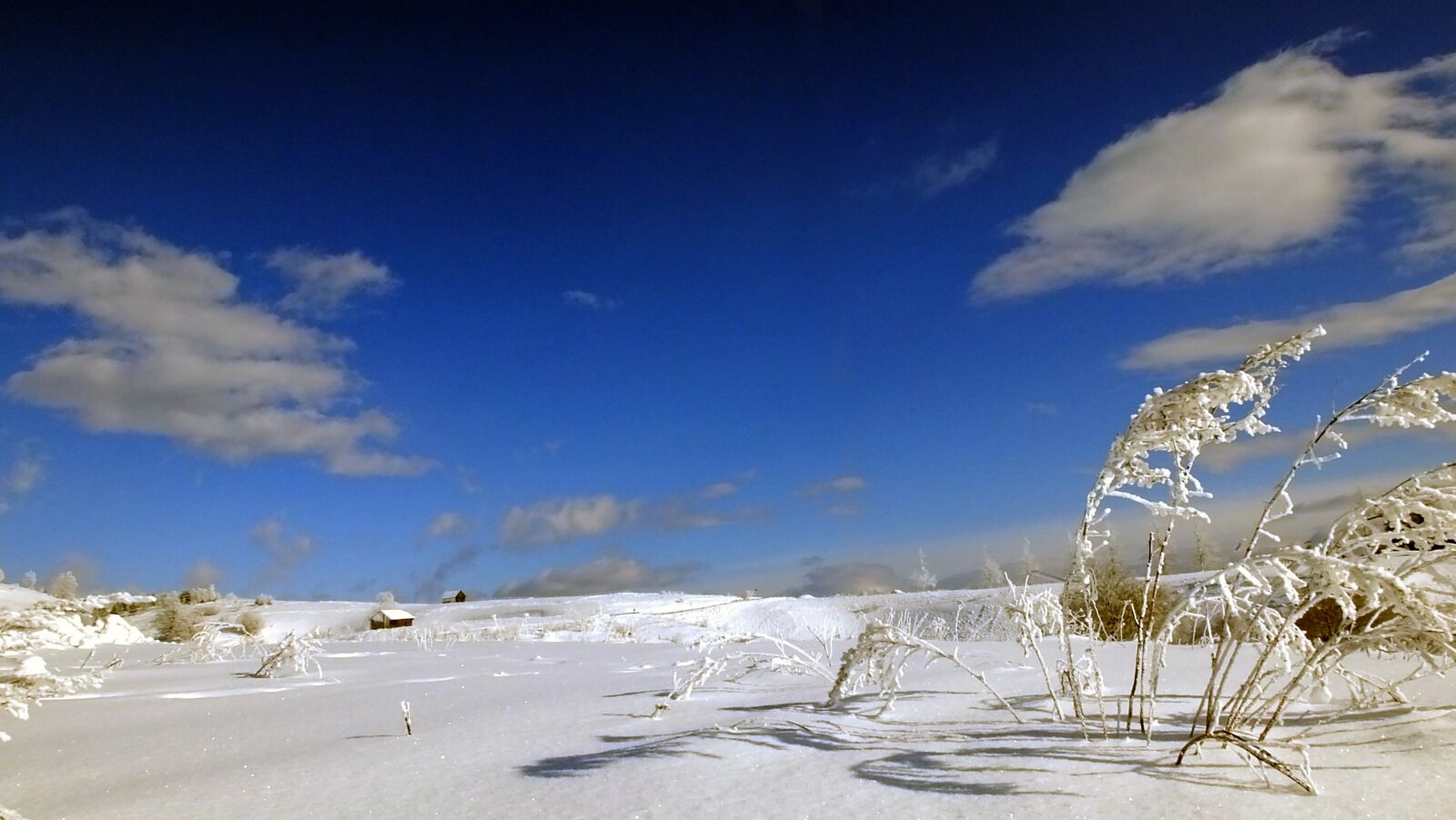 Fujifilm FinePix HS50 EXR sample photo. Winter landscape, cold, frost photography