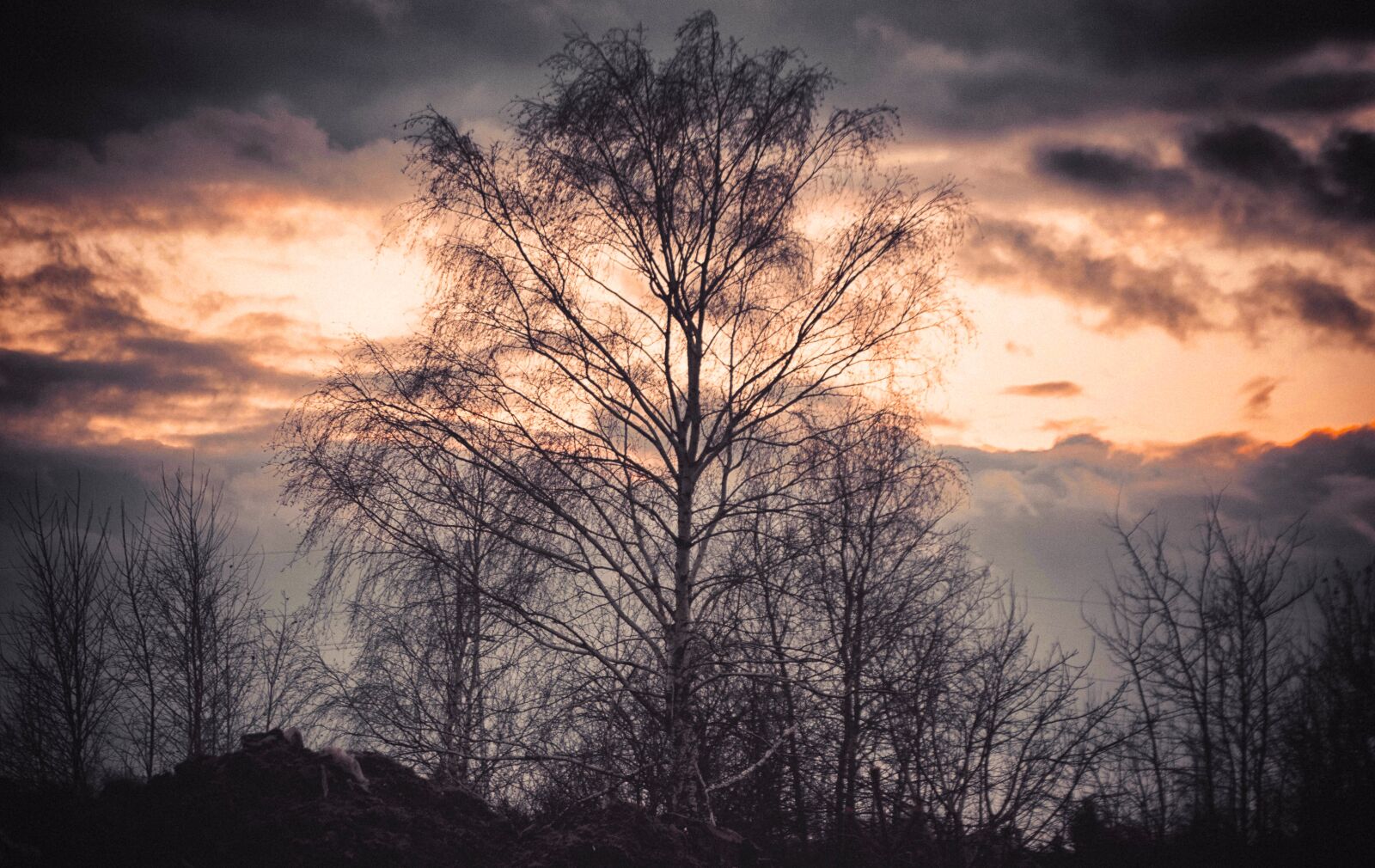 Canon EOS 50D sample photo. Sky, west, clouds photography