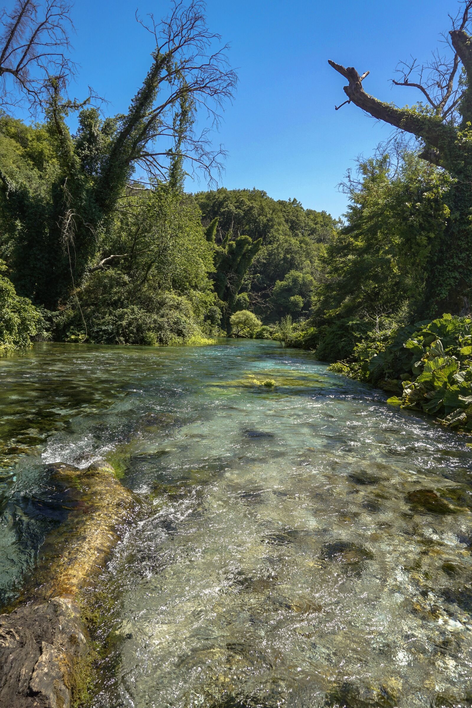 Sony a5100 sample photo. Albania, saranda, blue eye photography