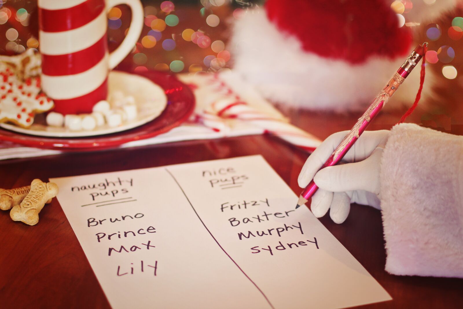 Canon EF 50mm F1.4 USM sample photo. Santa, list, christmas photography