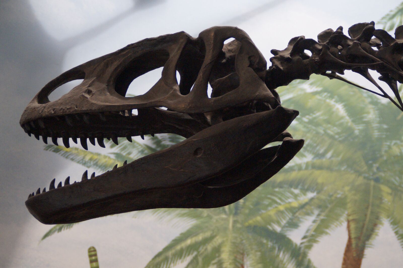 Sony SLT-A58 sample photo. Dinosaur, dino, t rex photography