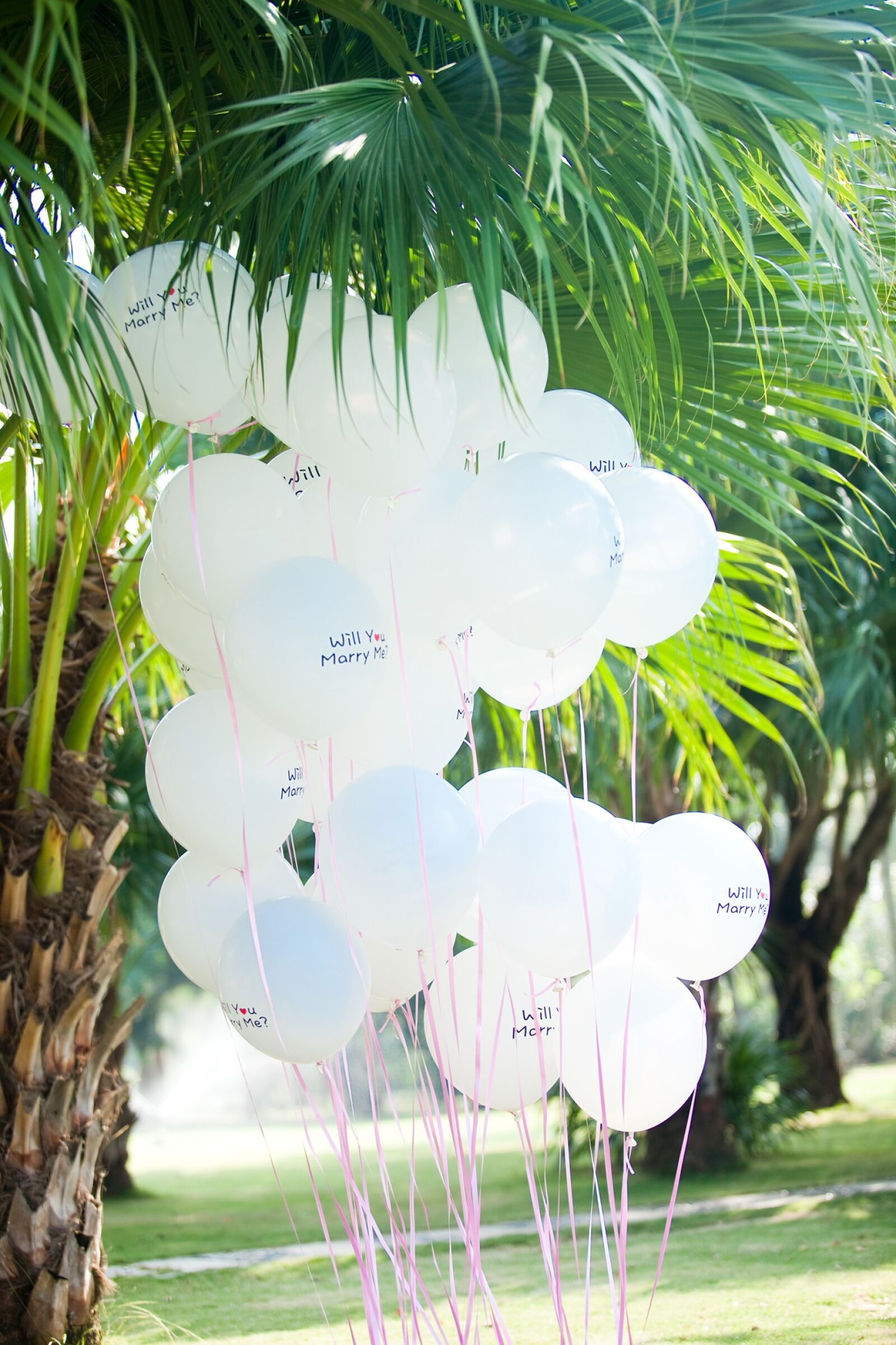 Canon EOS 5D Mark II sample photo. Balloon, wedding, white and photography