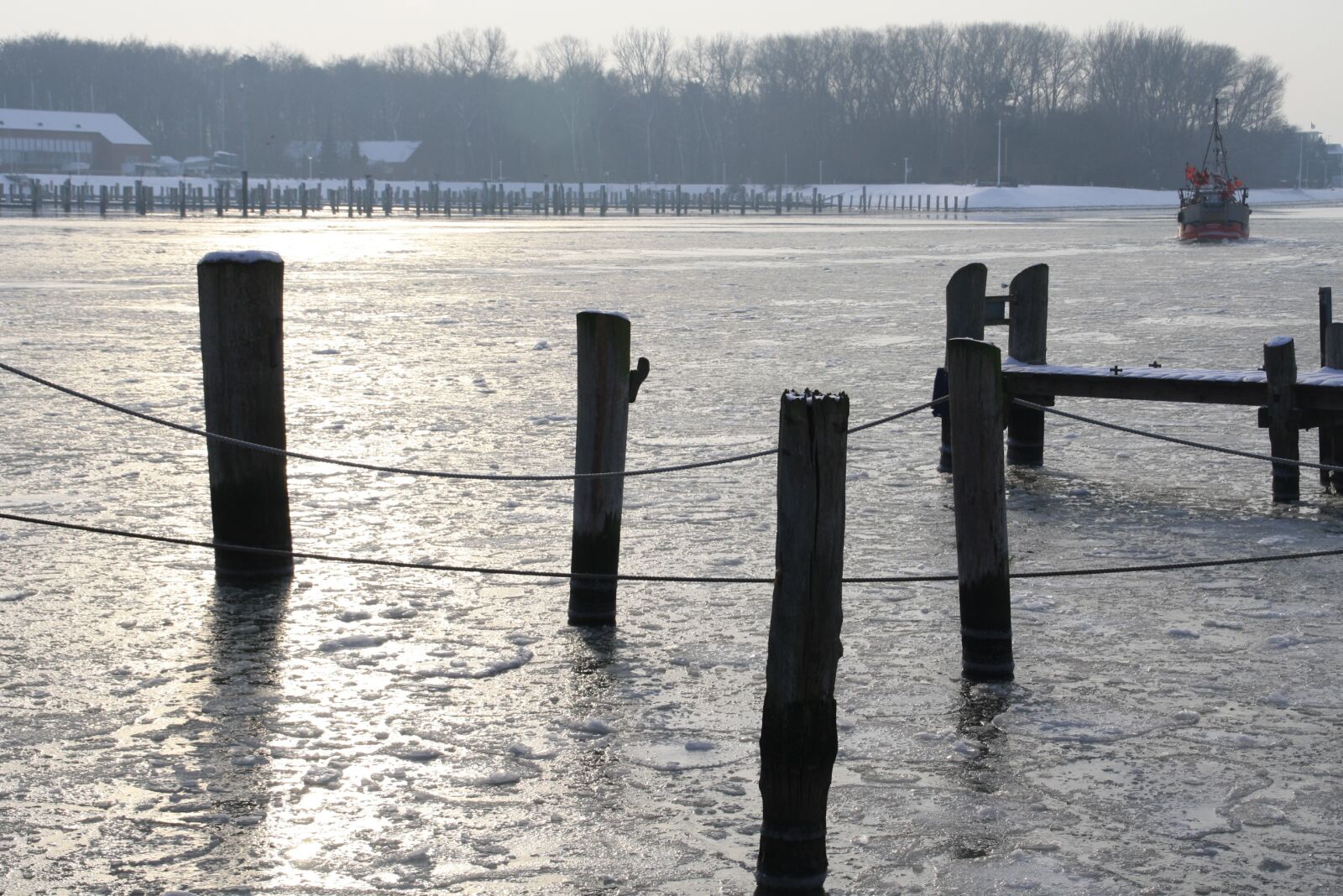 Canon EOS 1000D (EOS Digital Rebel XS / EOS Kiss F) sample photo. Winter mood, frozen, winter photography