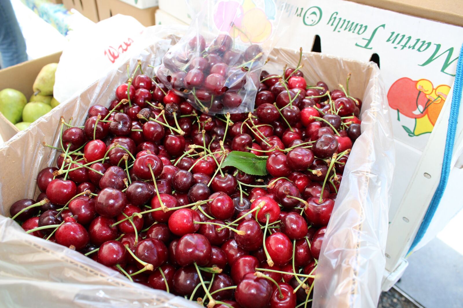 Canon EOS 600D (Rebel EOS T3i / EOS Kiss X5) sample photo. Cherries, fruit, food photography