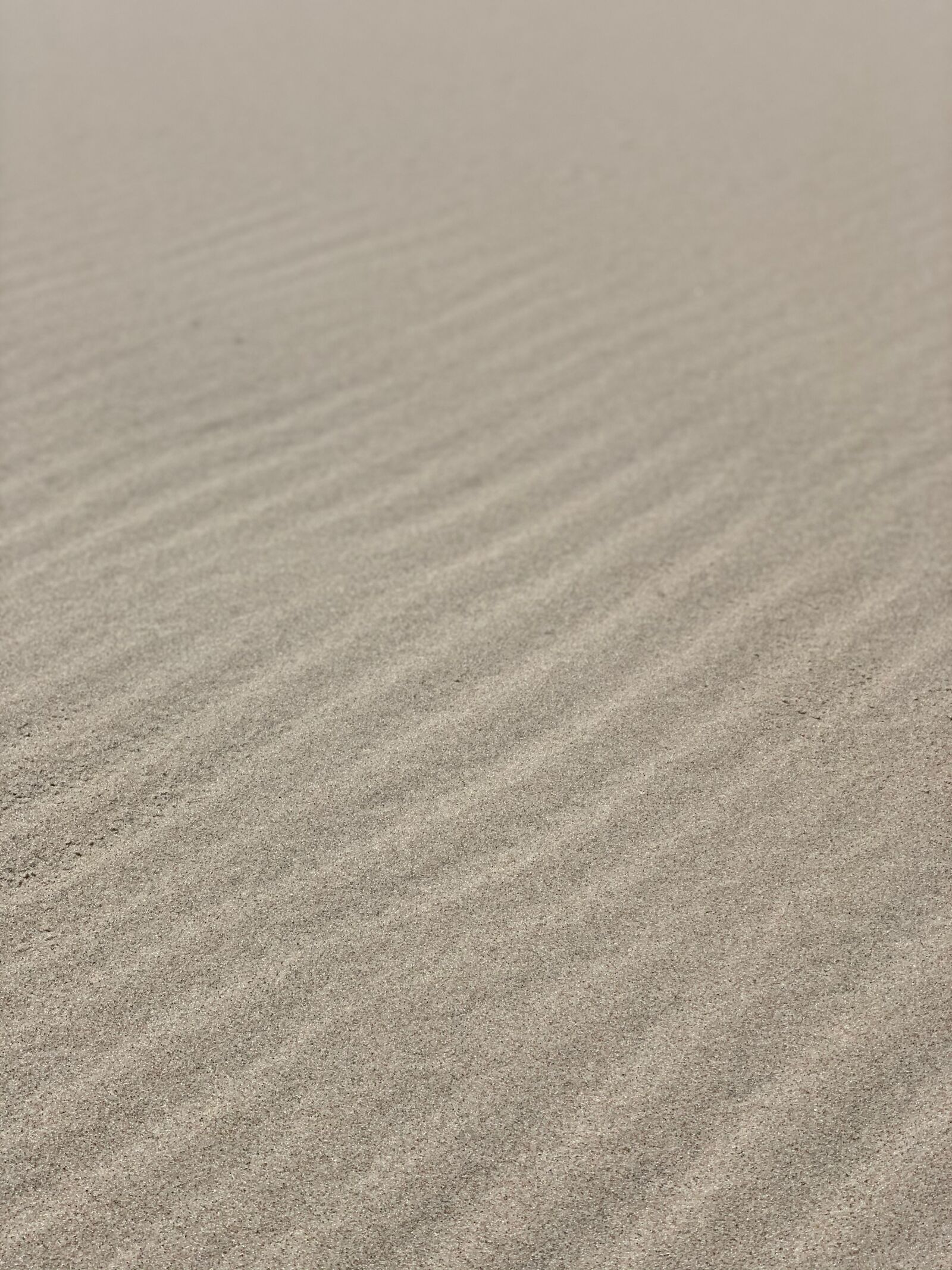 Apple iPhone XS + iPhone XS back dual camera 6mm f/2.4 sample photo. Sand, beach, summer photography
