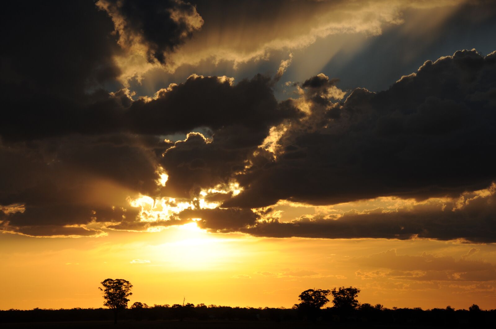 Nikon D300 sample photo. Sunset, clouds, yellow photography