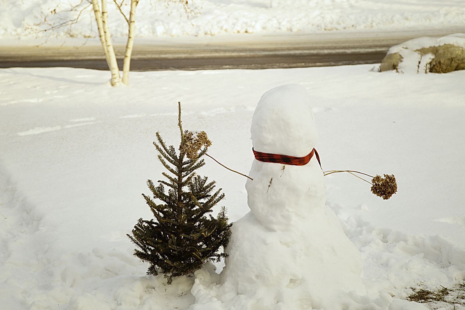 Canon EOS 5D Mark II sample photo. Snowman, snow, white photography