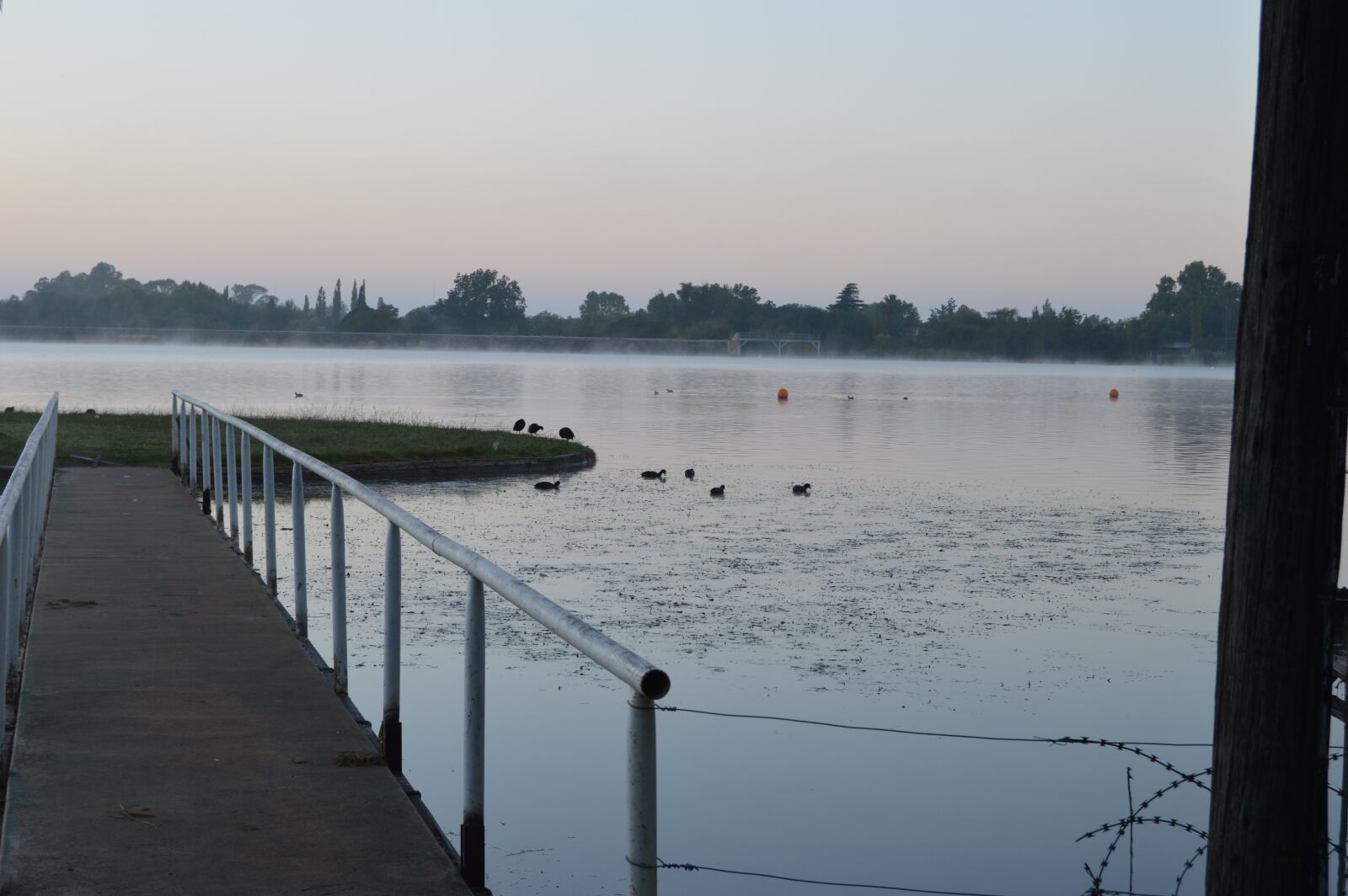 Nikon D3200 sample photo. Bridge, water, lookout photography