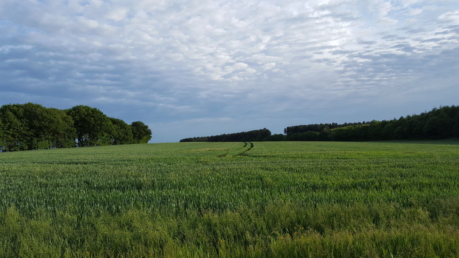 Samsung Galaxy S6 sample photo. Relax, crop, blue sky photography