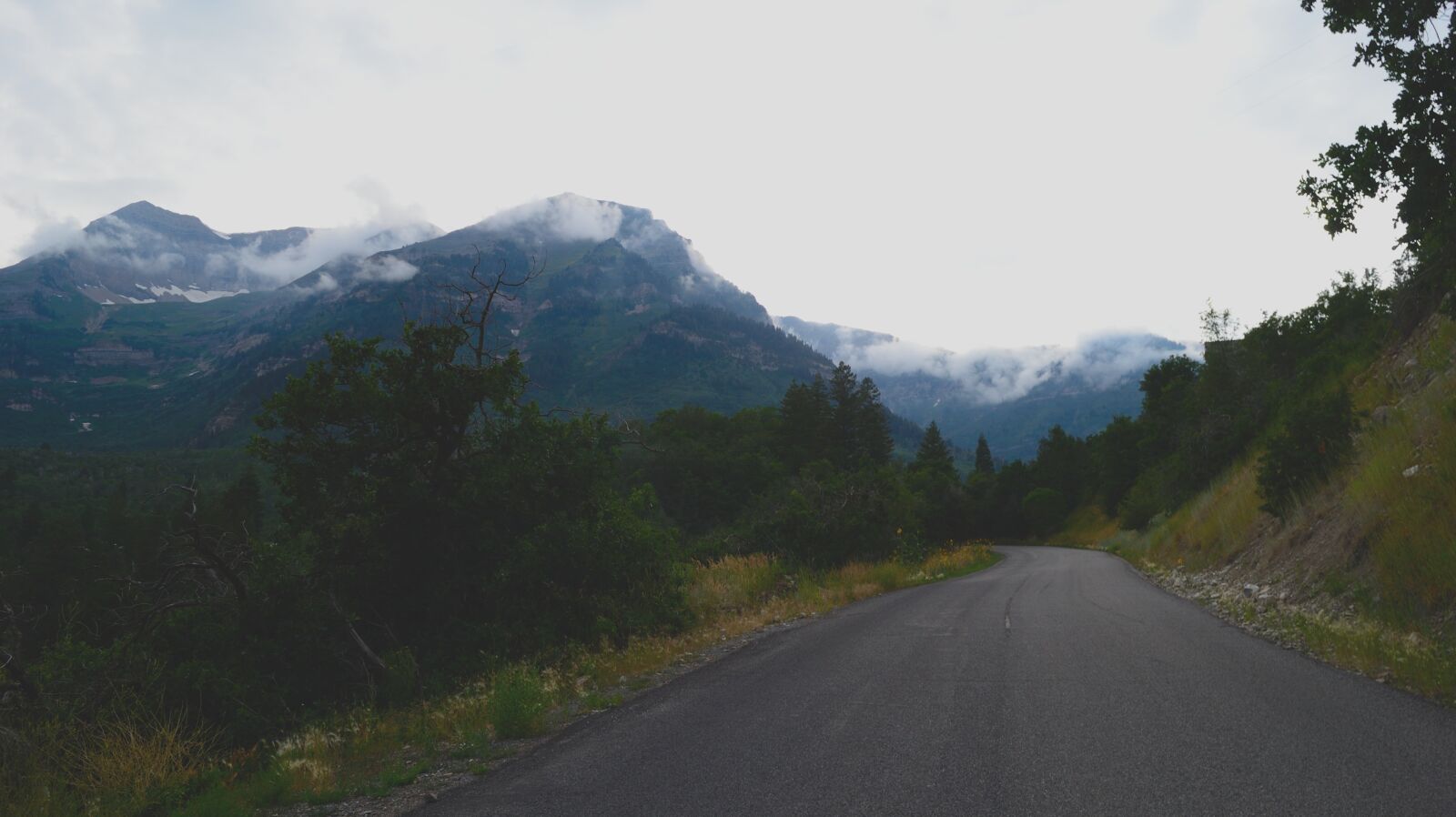 Nikon D3100 sample photo. Mountain, road, forest photography