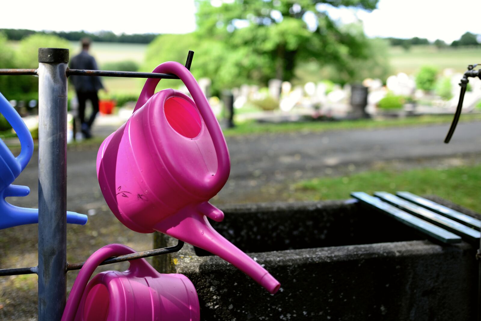 Nikon D610 sample photo. Watering can, cemetery, water photography