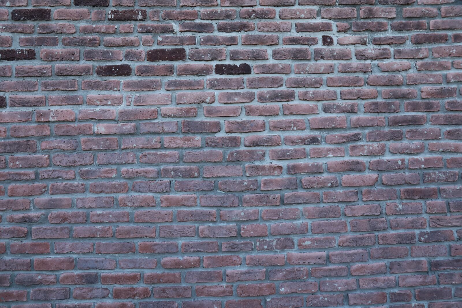 Canon EOS 5D Mark IV sample photo. Brick, wall, pattern photography