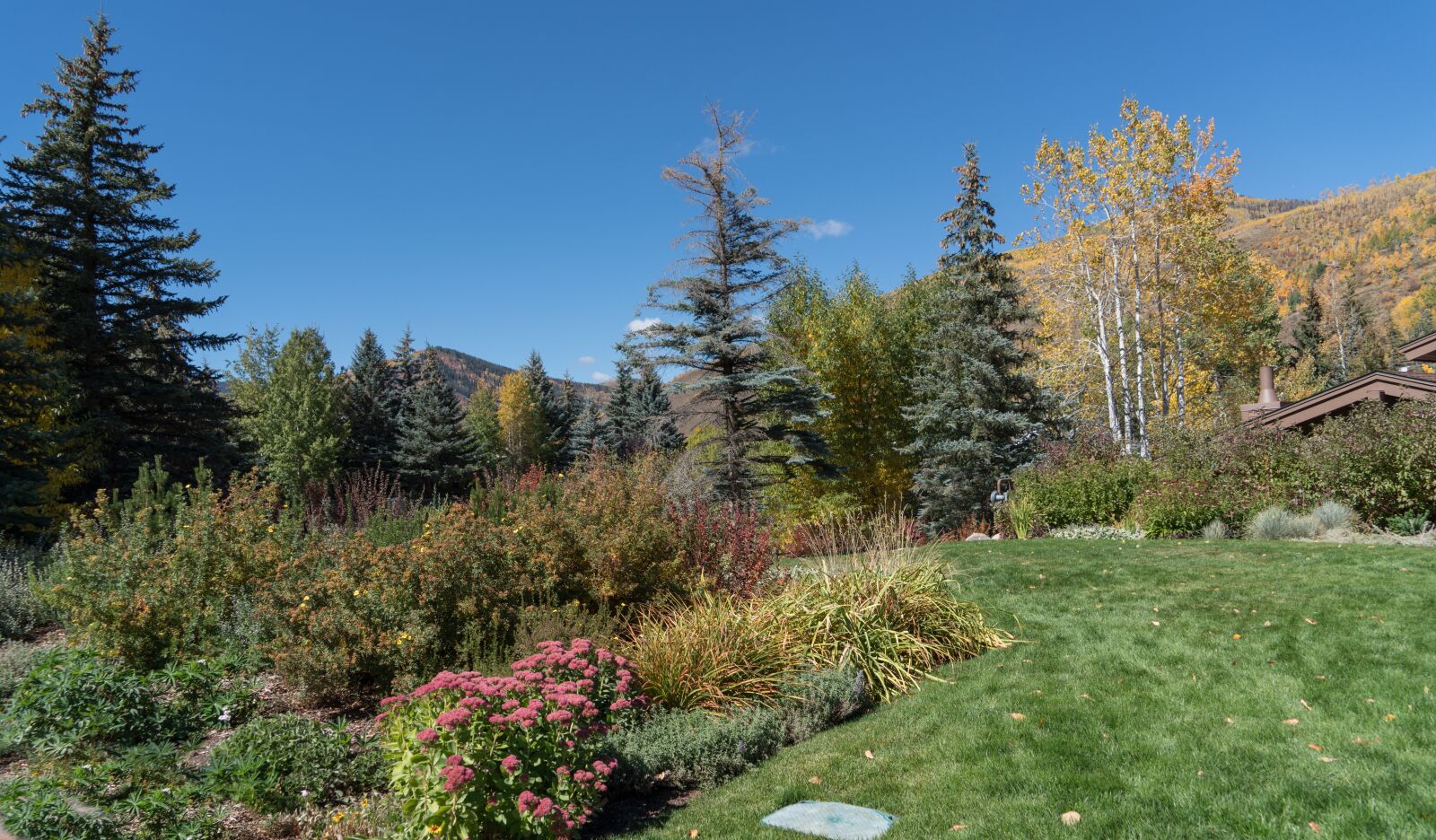 Sony a7R II + Sony FE 24-240mm F3.5-6.3 OSS sample photo. Vail, colorado, foliage photography