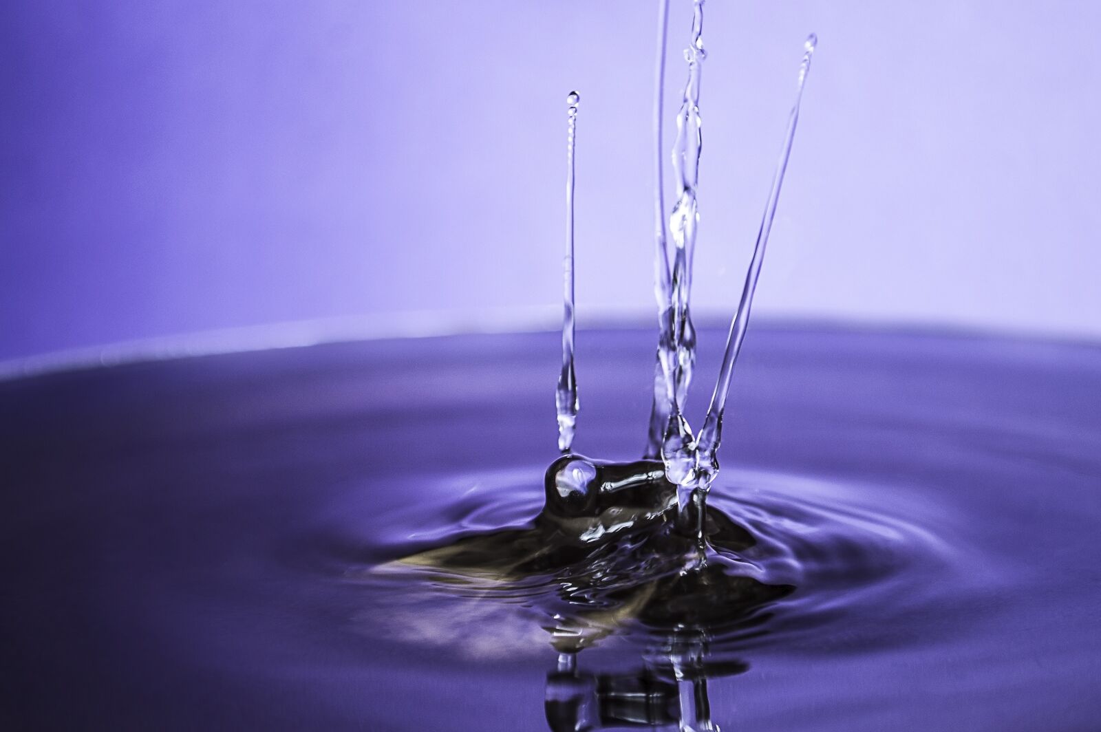 Nikon D3200 sample photo. Water, water drop, silver photography