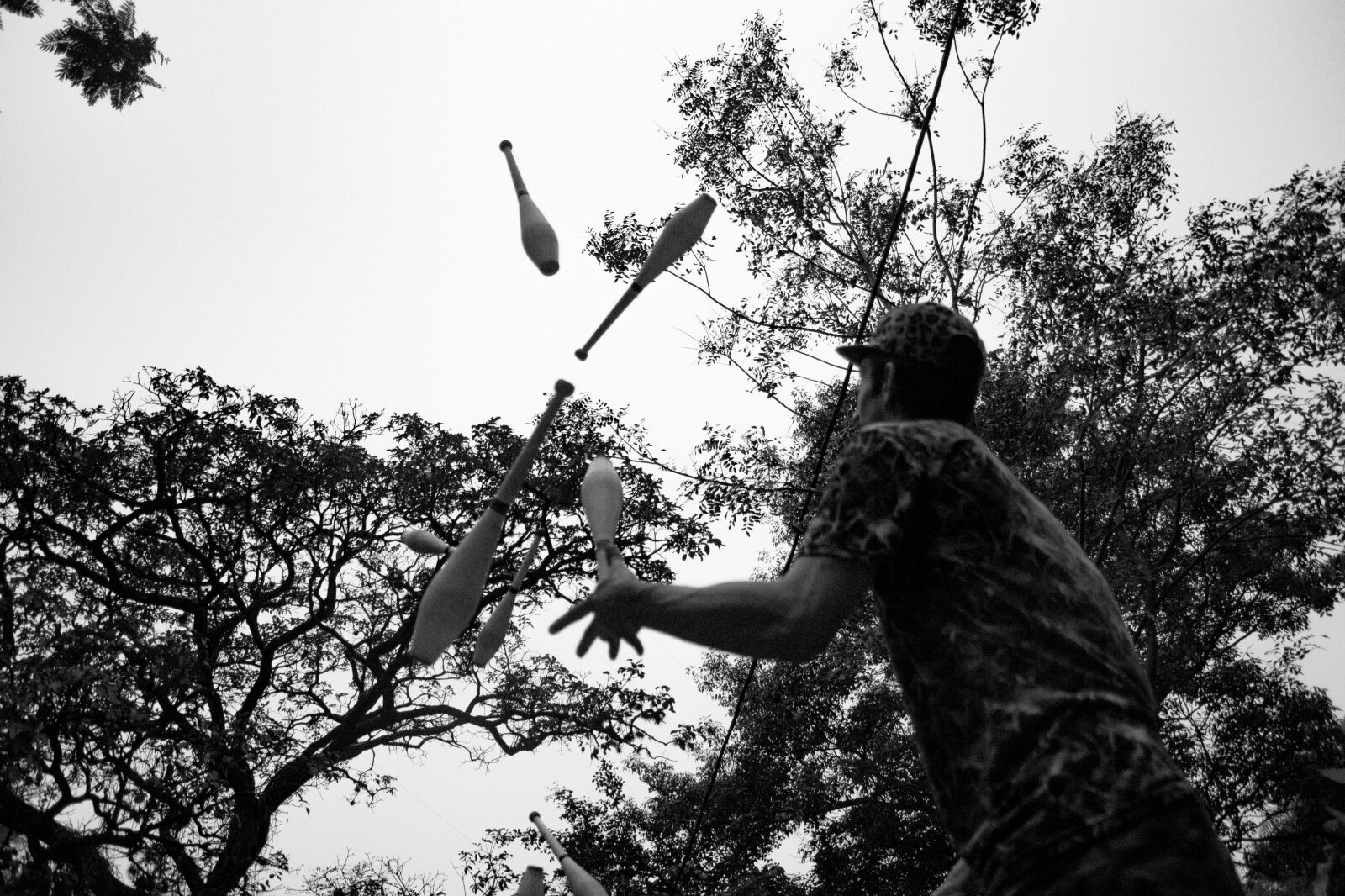 Nikon D750 sample photo. Juggling, tree, hobby photography