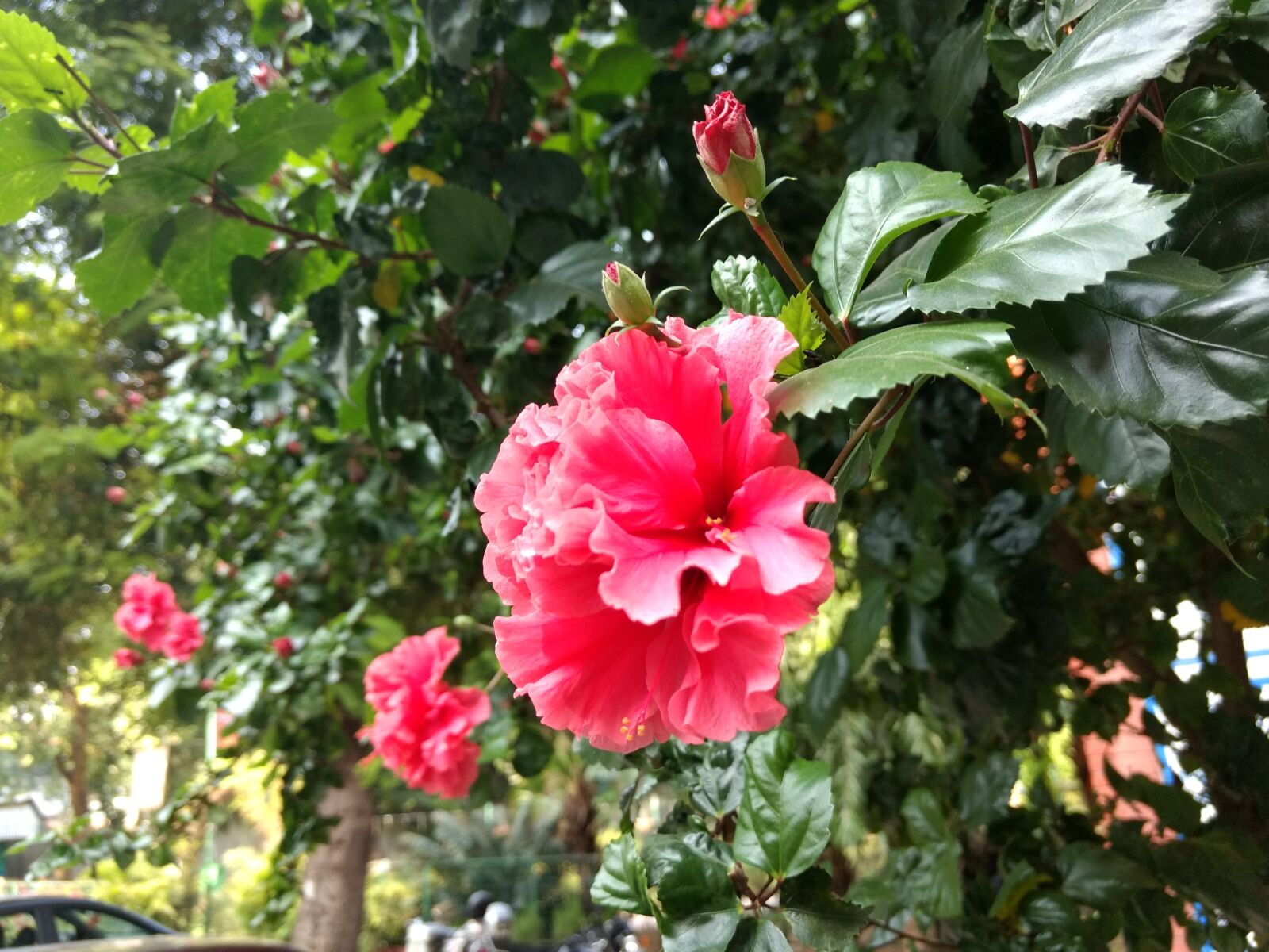 Motorola Moto G (4) sample photo