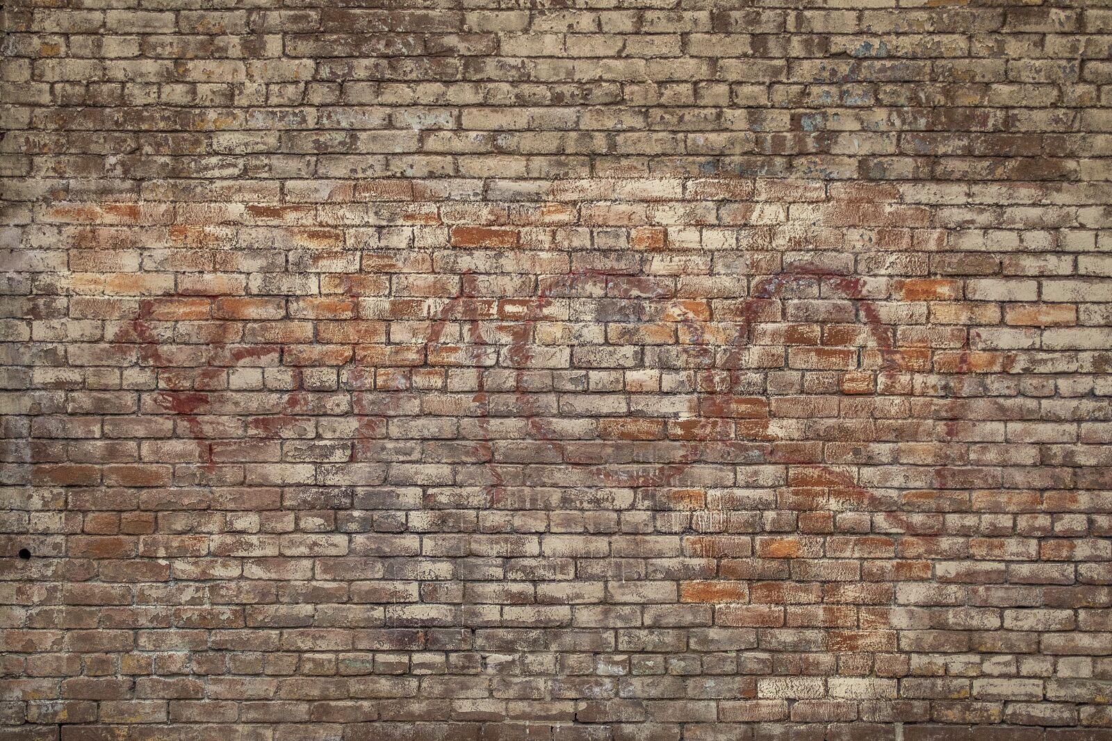Canon TS-E 90mm F2.8 Tilt-Shift sample photo. Background, texture, wall photography