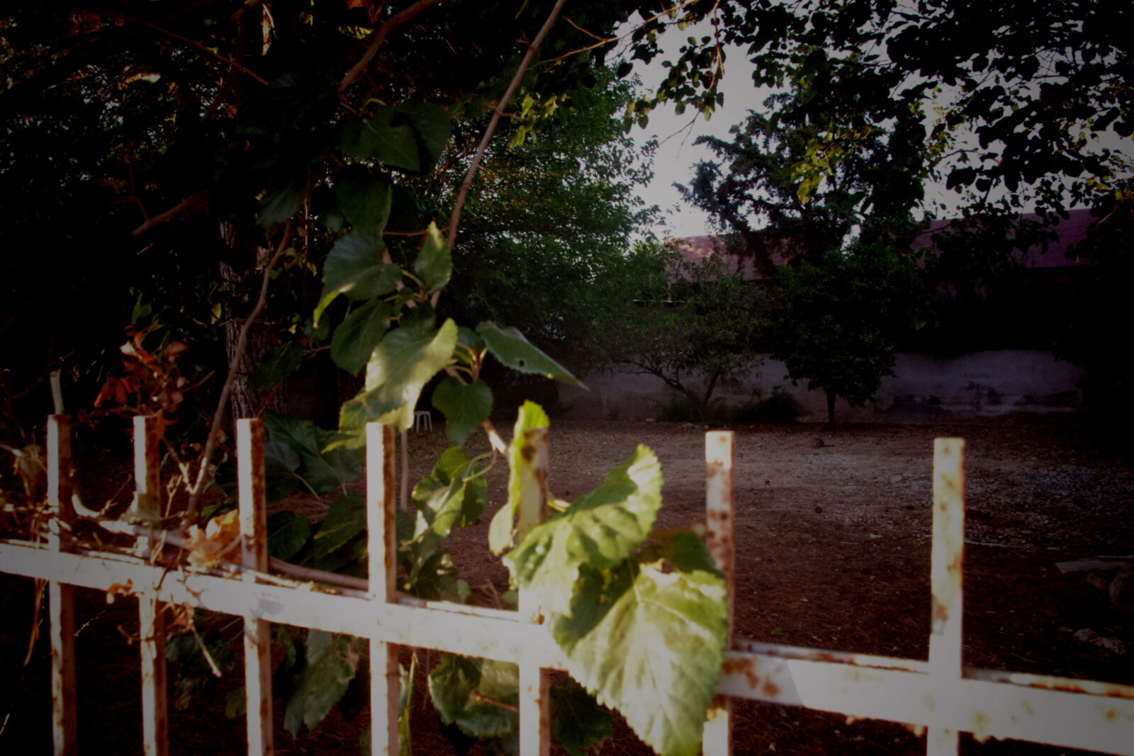 Pentax K-5 sample photo. Deserted yard. photography