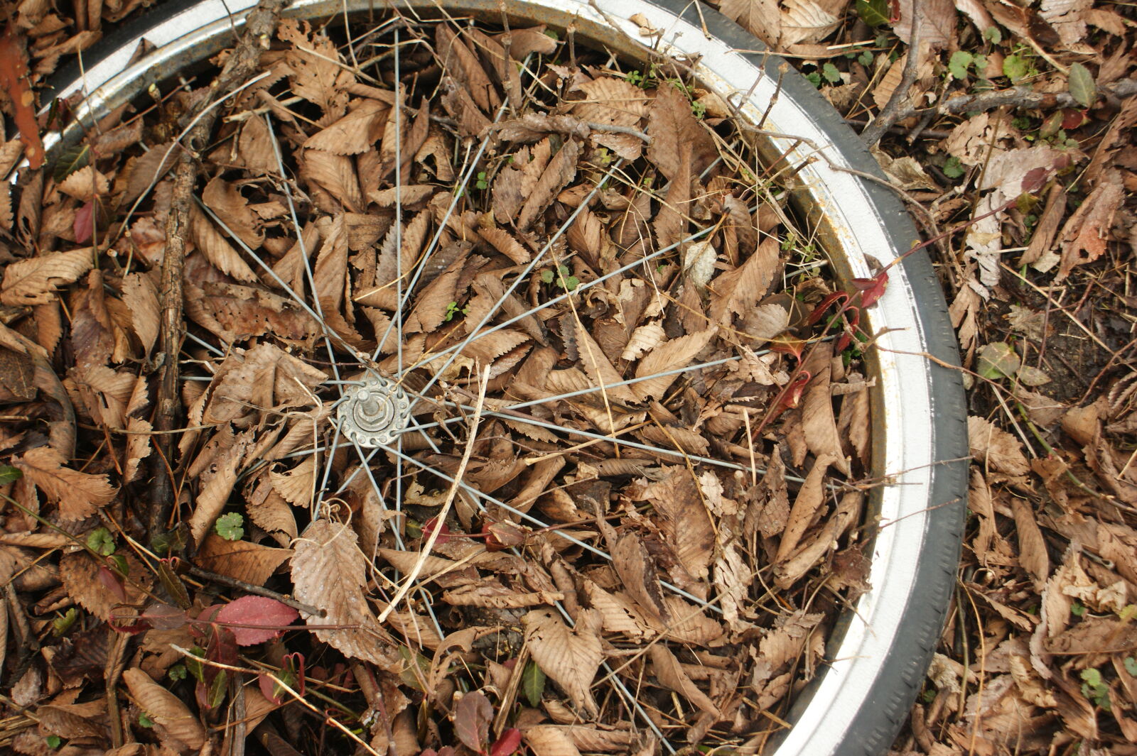 Sony Alpha DSLR-A350 + Sony DT 18-70mm F3.5-5.6 sample photo. Abstract, bike, decay, fall photography