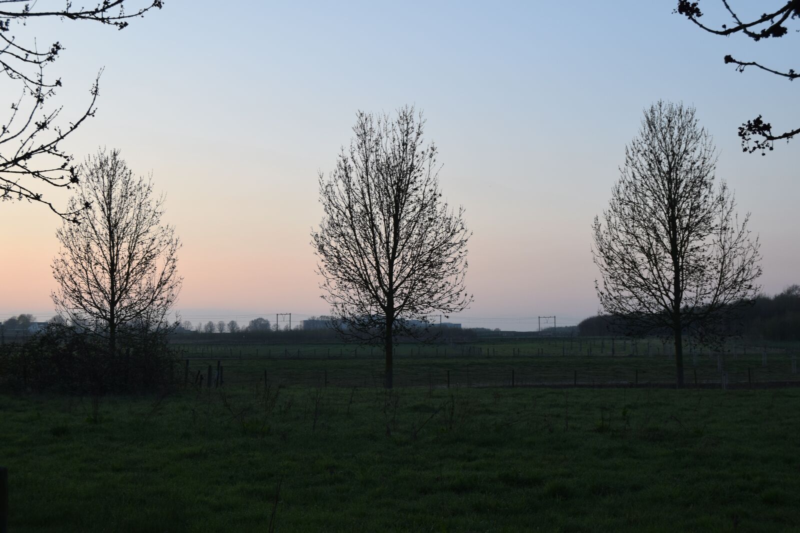 Nikon D3300 sample photo