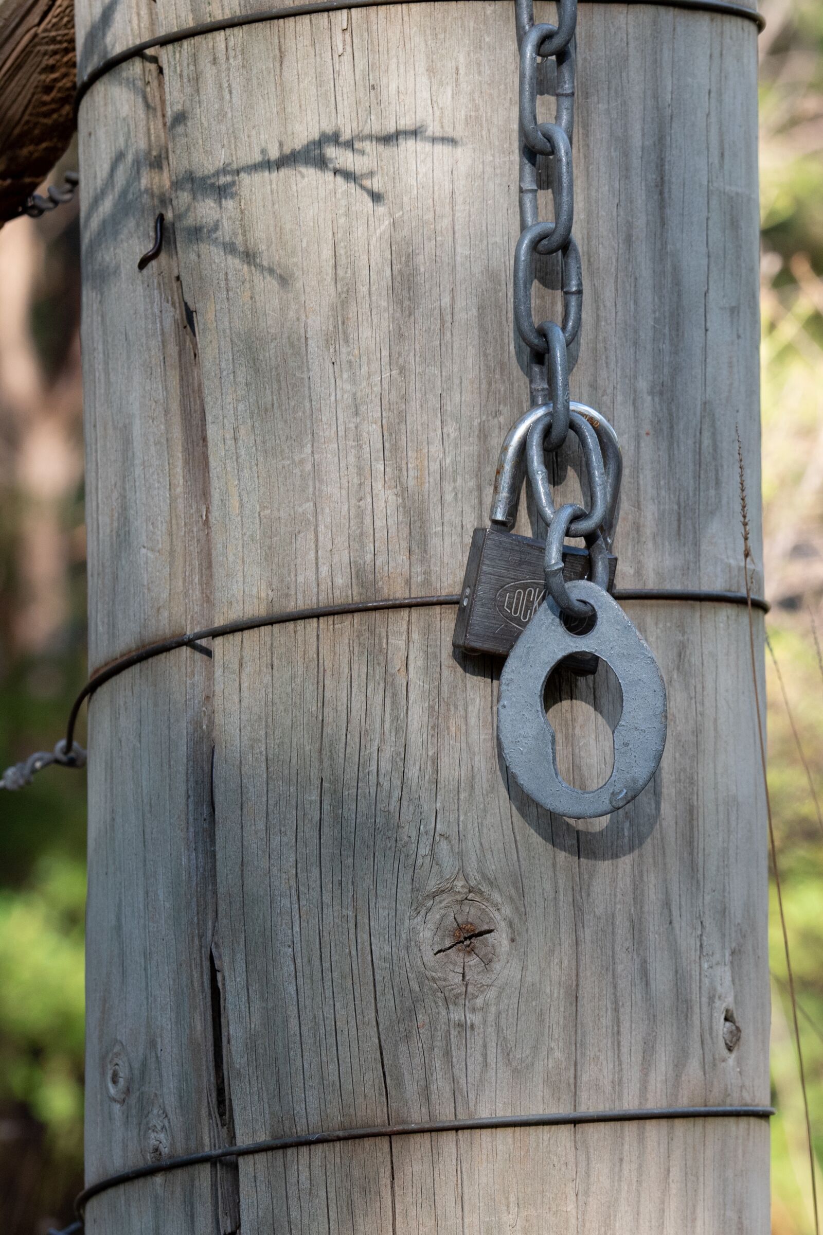 Nikon D750 sample photo. Fence post, chain, lock photography