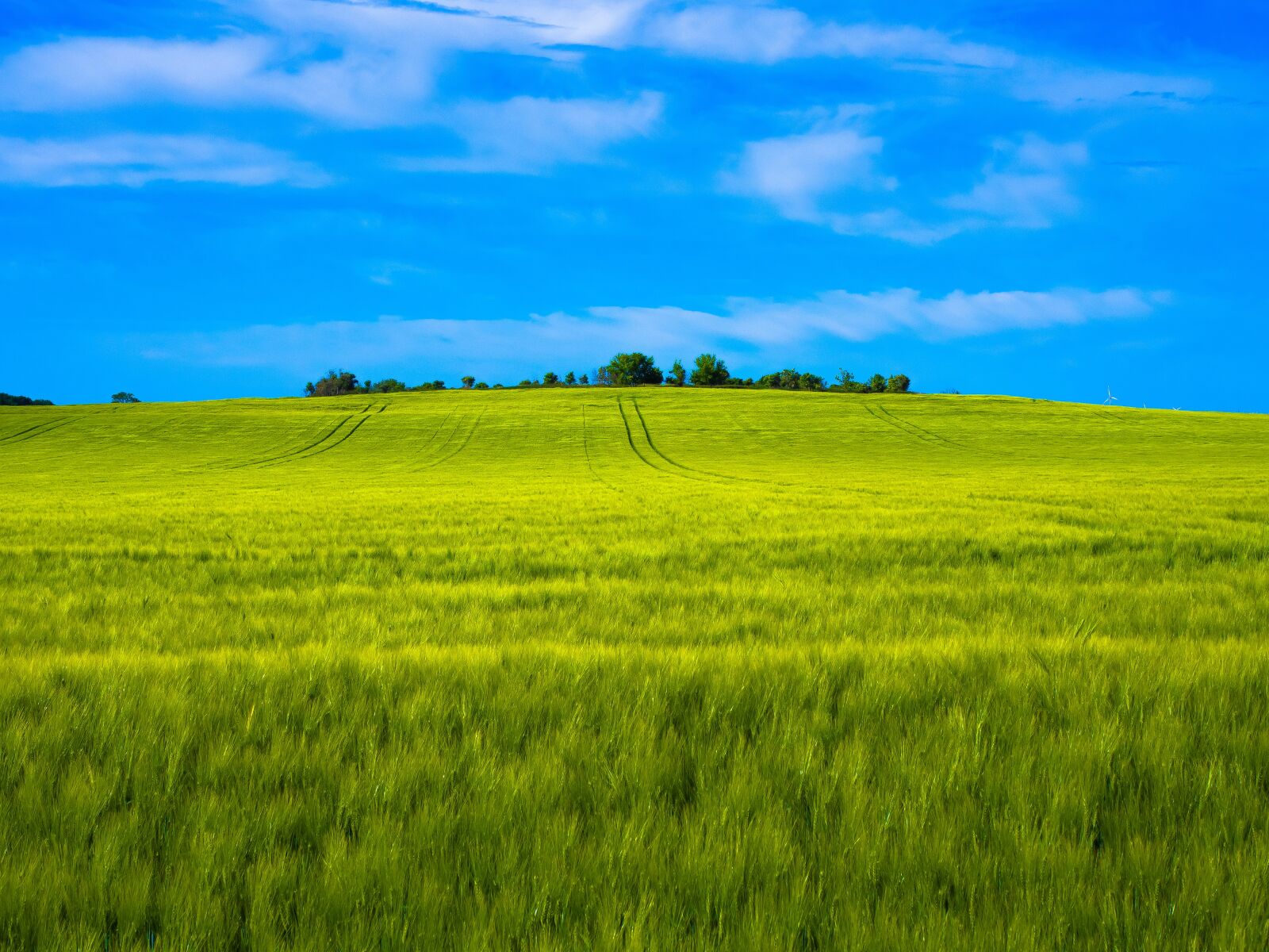 Olympus PEN E-PL9 sample photo. Landscape, agriculture, barley photography