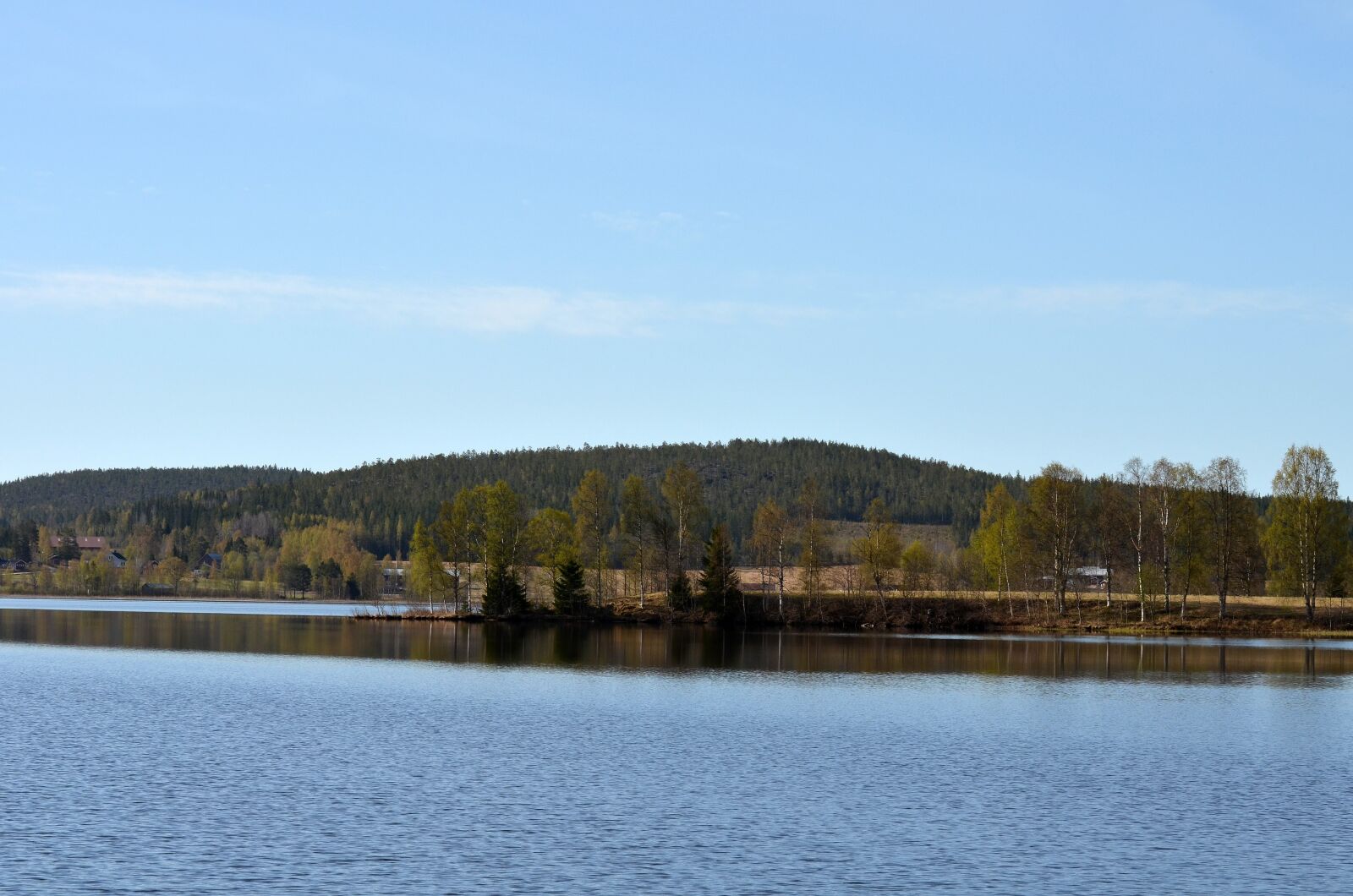 Nikon D5100 sample photo. Water, nature, tree photography