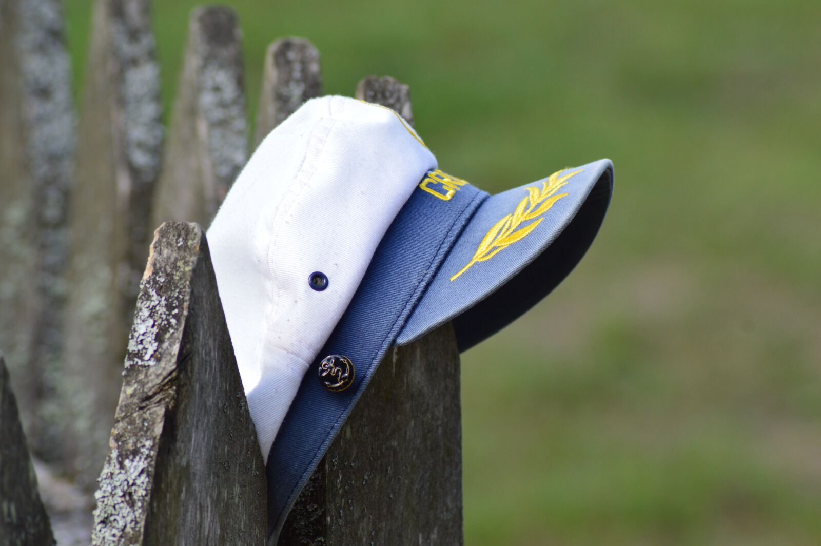 Nikon D3200 sample photo. Cap, the fence, village photography