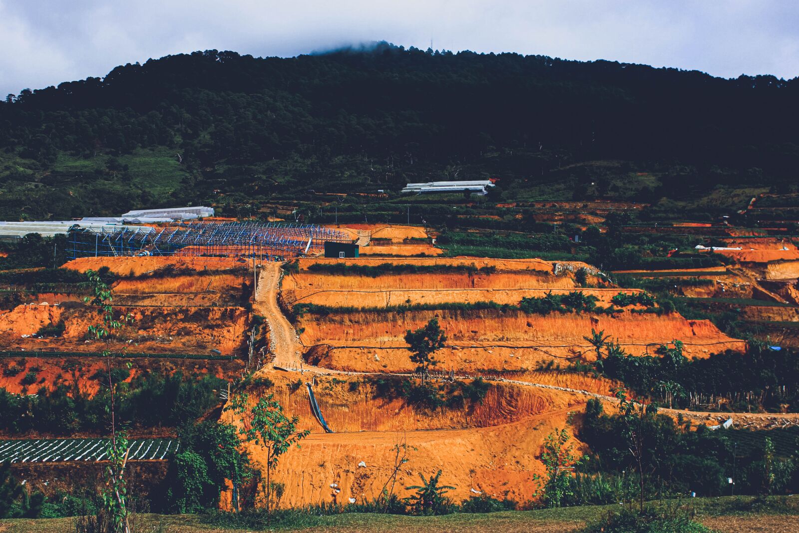 Canon EOS 600D (Rebel EOS T3i / EOS Kiss X5) + Canon EF-S 18-55mm F3.5-5.6 IS II sample photo. Langbiang, da lat, vietnam photography