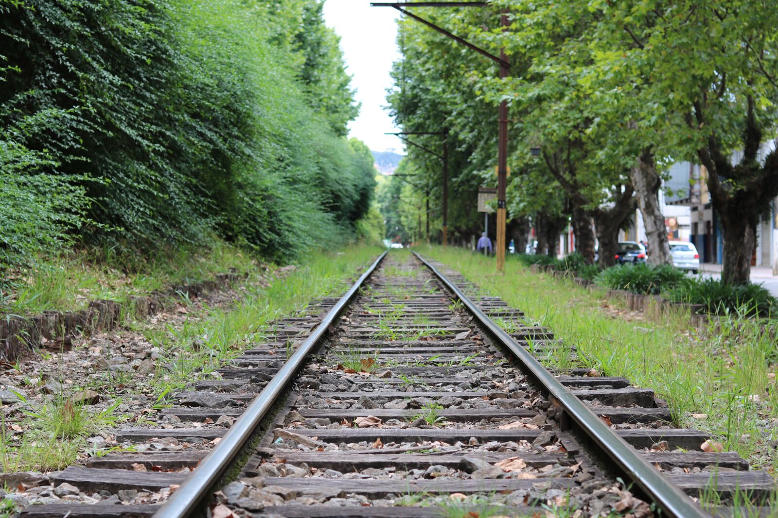 Canon EOS 750D (EOS Rebel T6i / EOS Kiss X8i) + Canon EF 50mm F1.8 STM sample photo. Trail, green, train photography