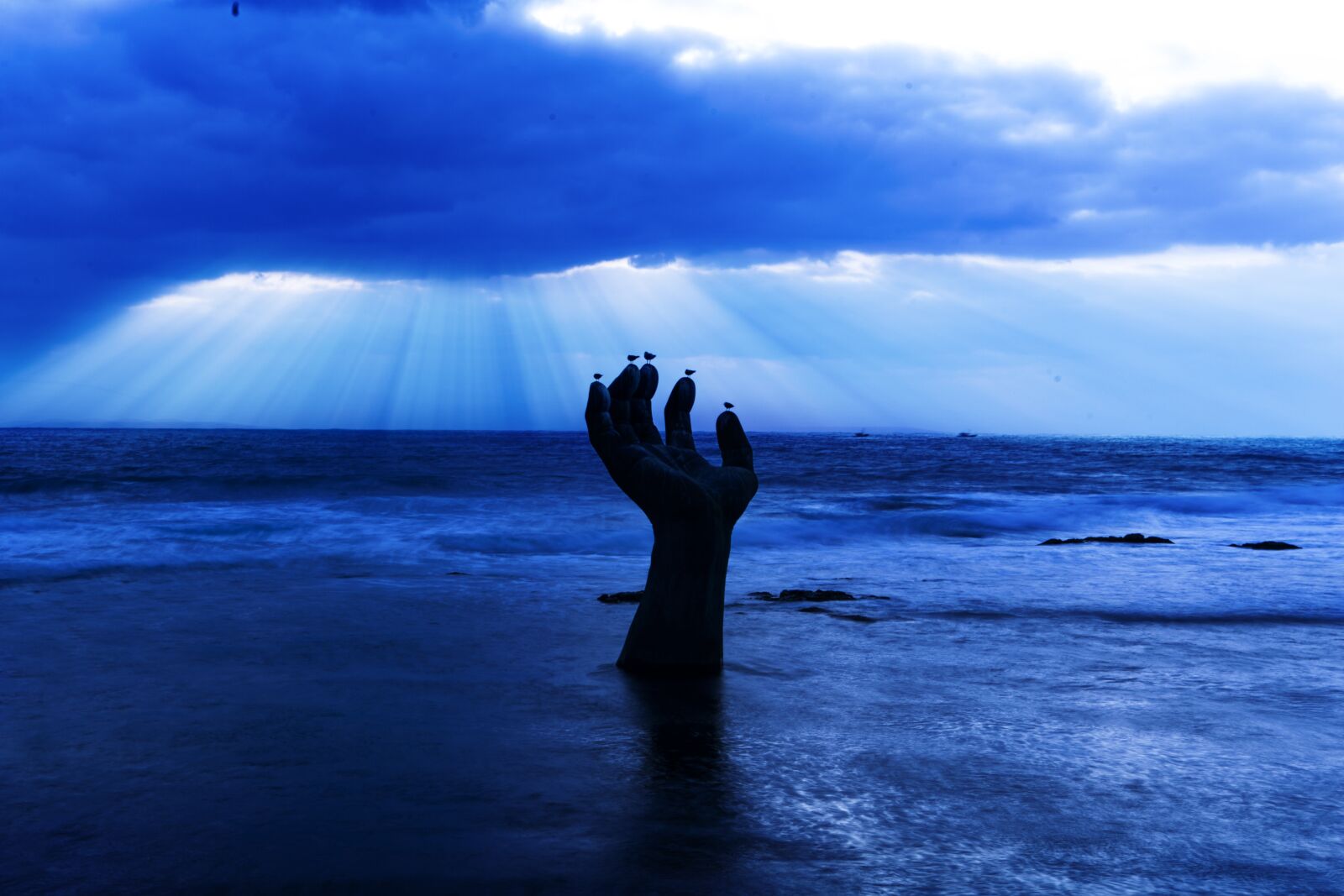 Canon EOS 5D Mark II sample photo. Life of the hand photography
