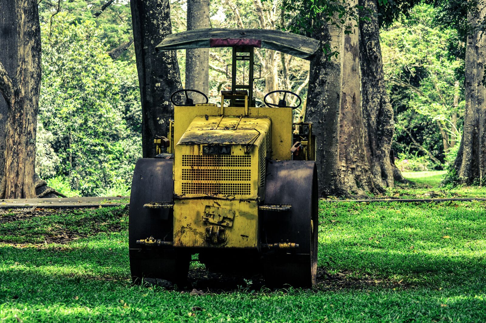 Nikon D90 sample photo. Road roller, roll, old photography