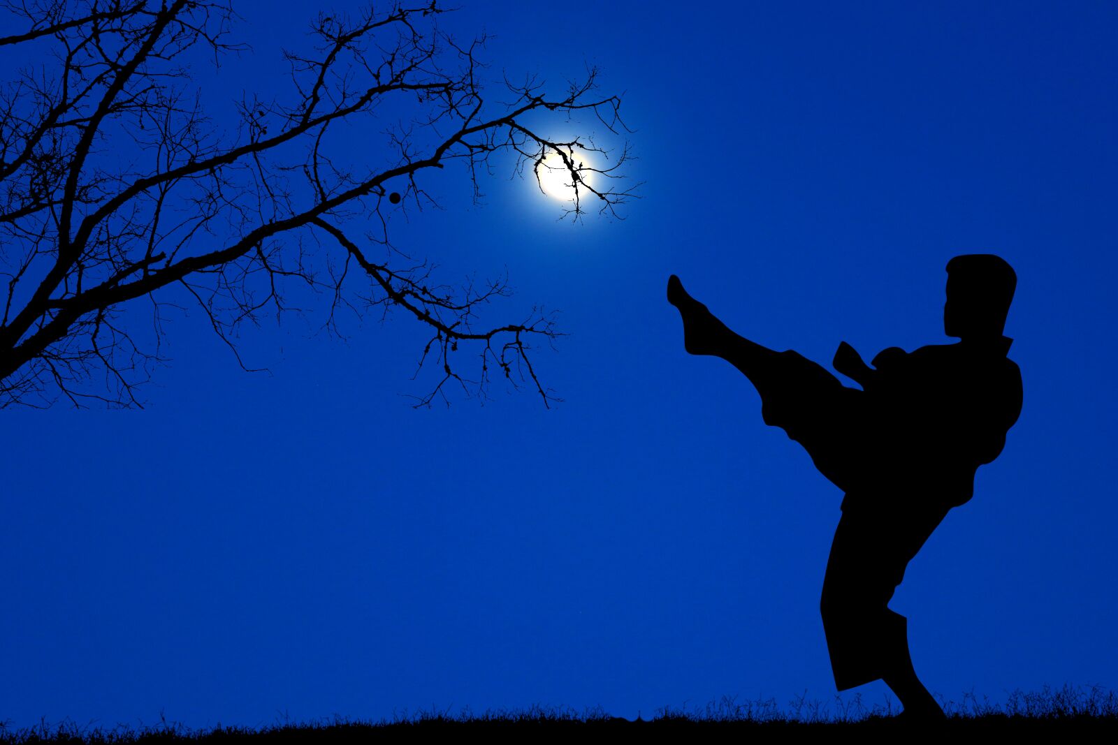 Canon PowerShot G1 X Mark III sample photo. Night, moon, nature photography