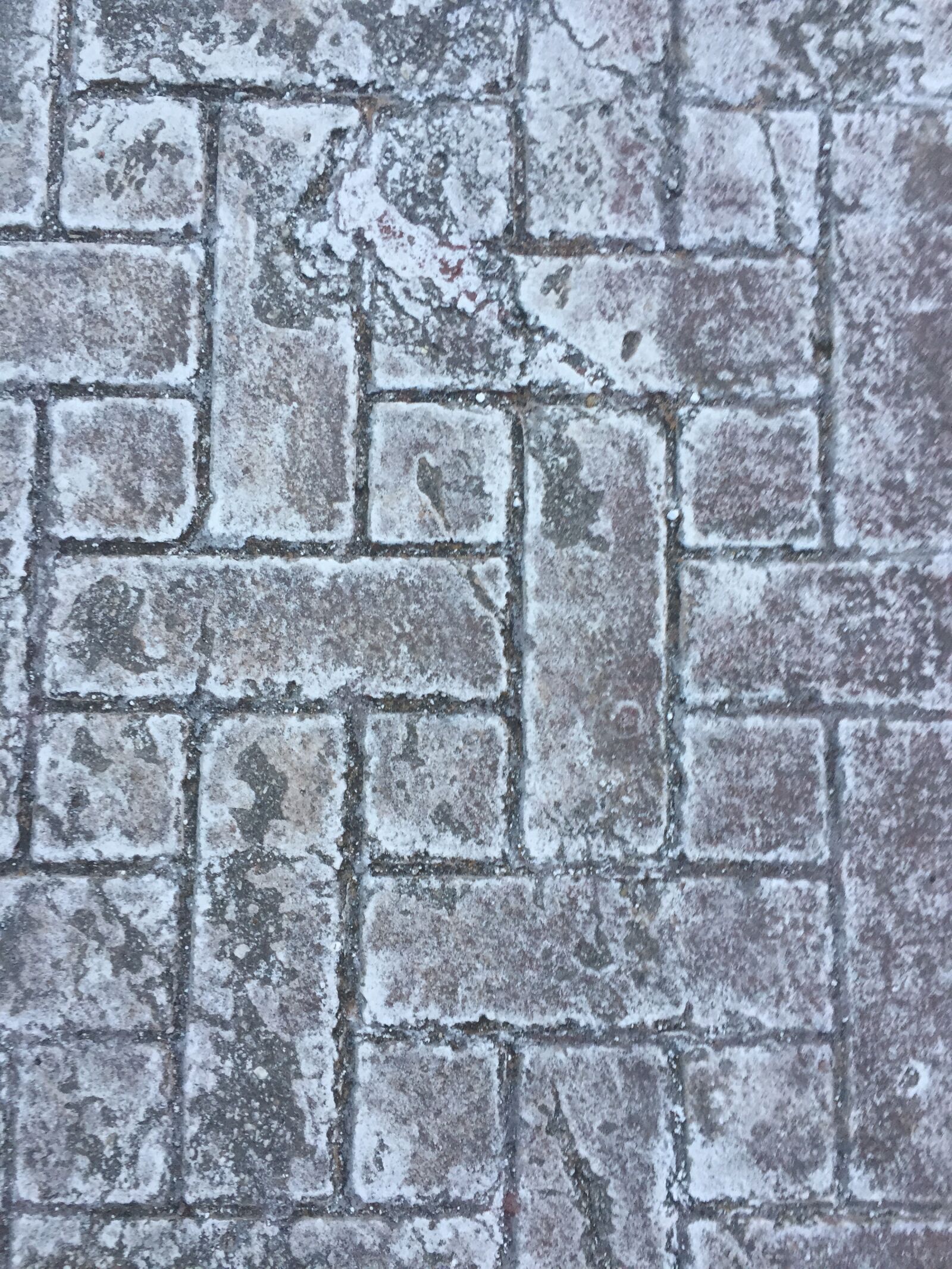 iPhone 6 back camera 4.15mm f/2.2 sample photo. Pattern, sidewalk, pavement photography