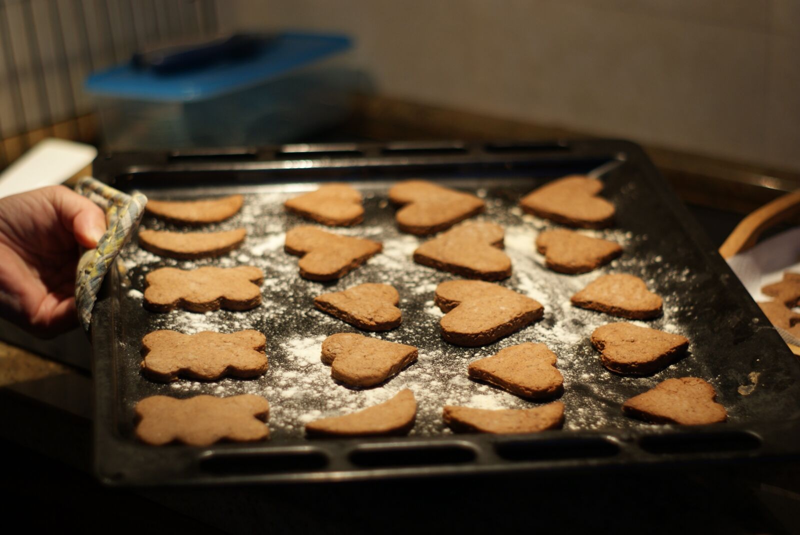 Sony Alpha DSLR-A300 sample photo. Pastries, gingerbread, cakes photography