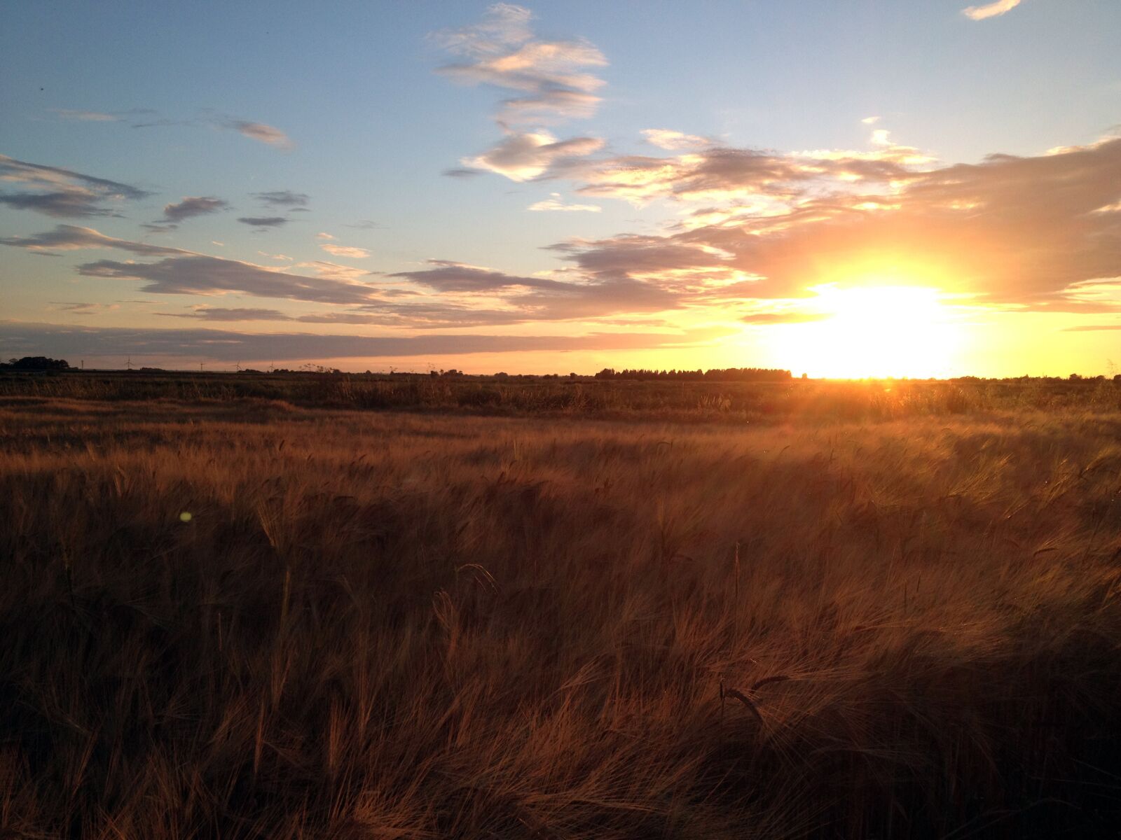 Apple iPhone 4S sample photo. Fen, sunset, landscape photography