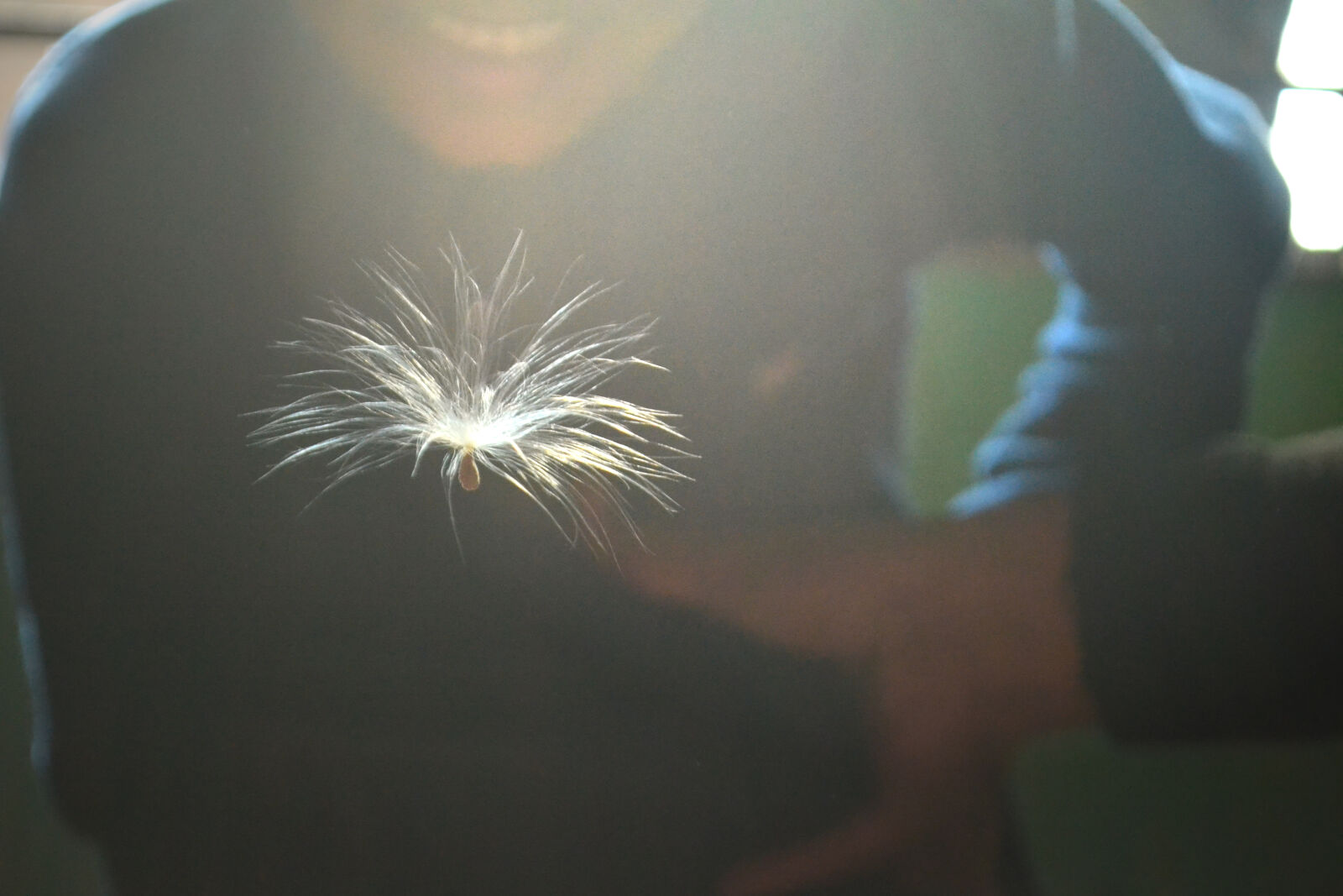 Nikon D3100 sample photo. Blur, close, up, color photography