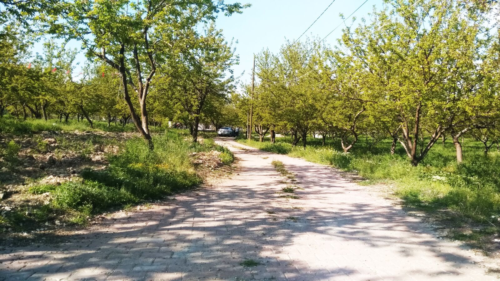 General Mobile GM 5 Plus sample photo