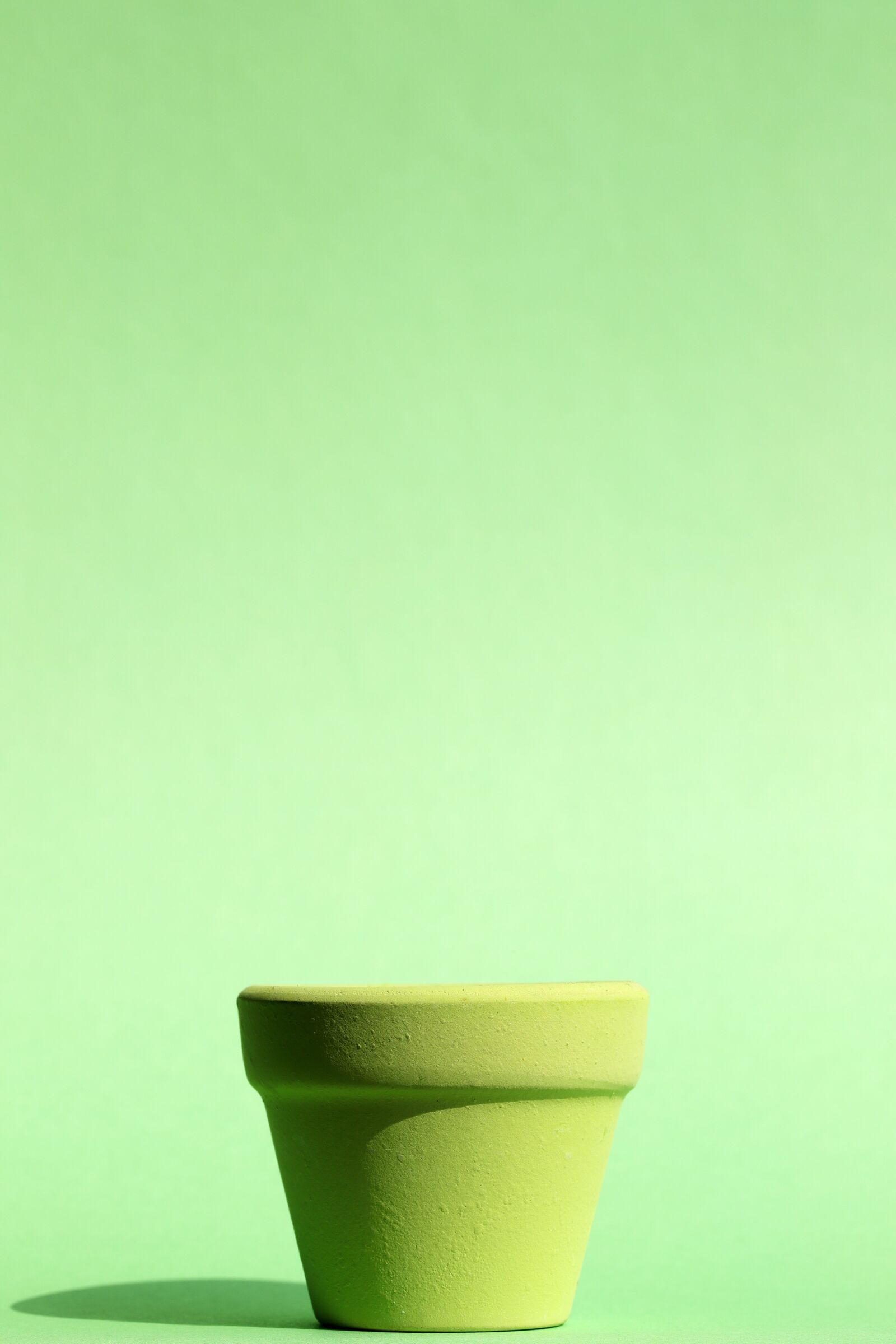Canon EOS 6D Mark II sample photo. Pastel, potted plant, flowers photography