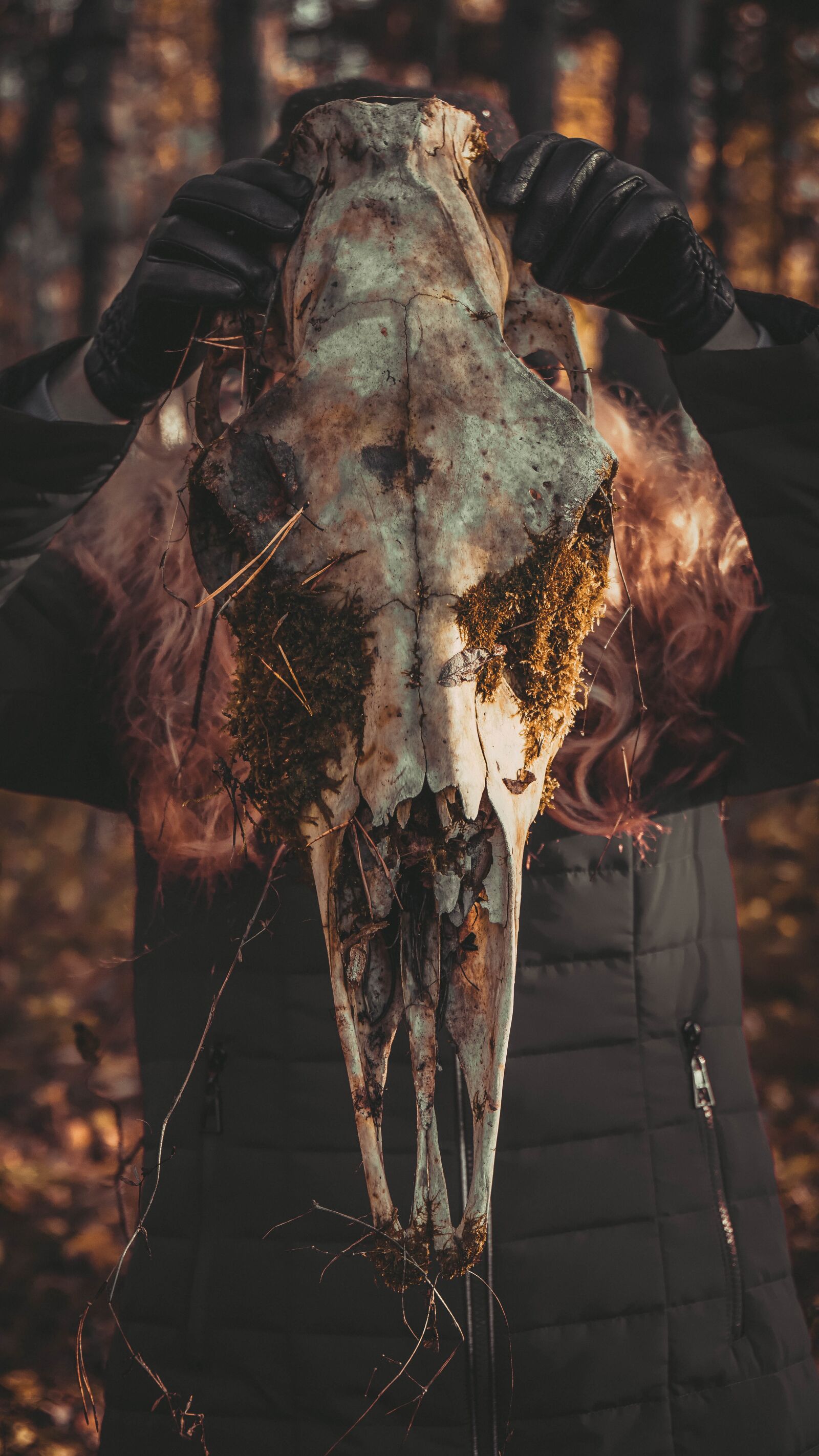 Sony a6000 + Sony Vario-Tessar T* E 16-70mm F4 ZA OSS sample photo. Skull, bone, man photography