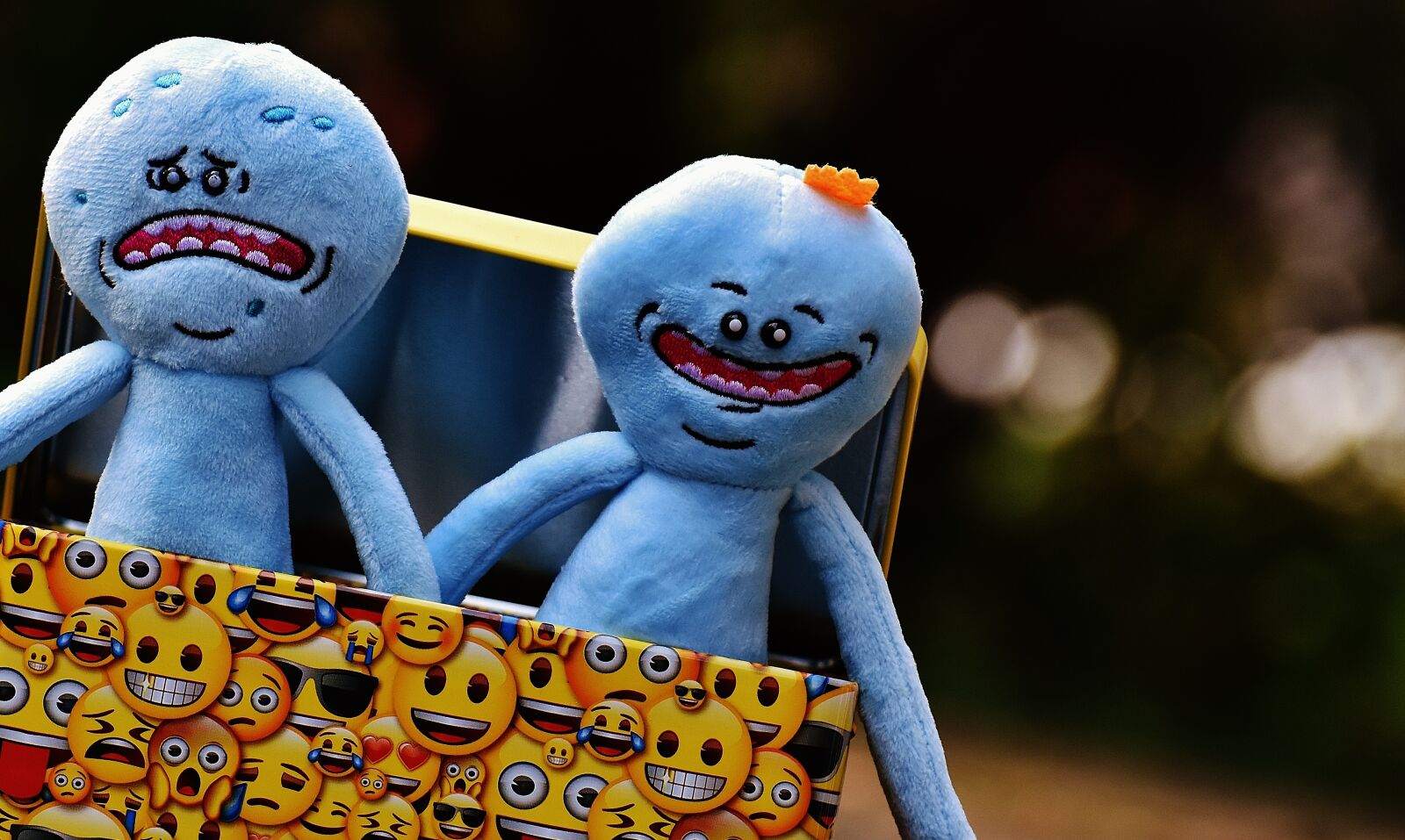 Nikon D7200 sample photo. Rick and morty, characters photography