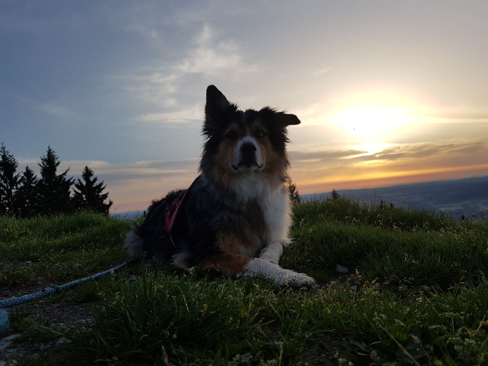 Samsung Galaxy S7 sample photo. Hund, berg, sonnenaufgang photography