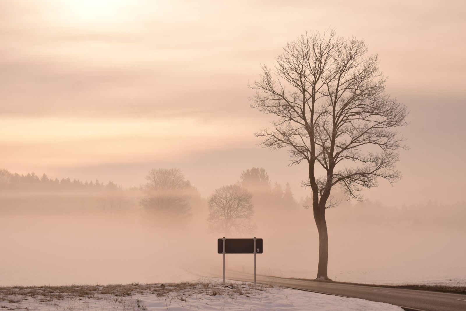Nikon D3300 sample photo. Dawn, nature, fog photography