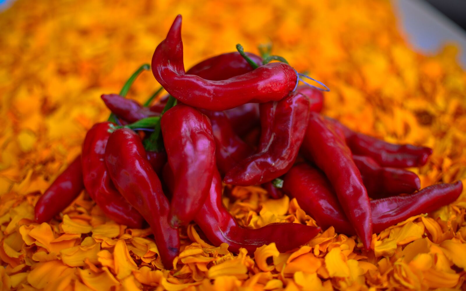 Nikon D5100 sample photo. Pepper, red, apple photography