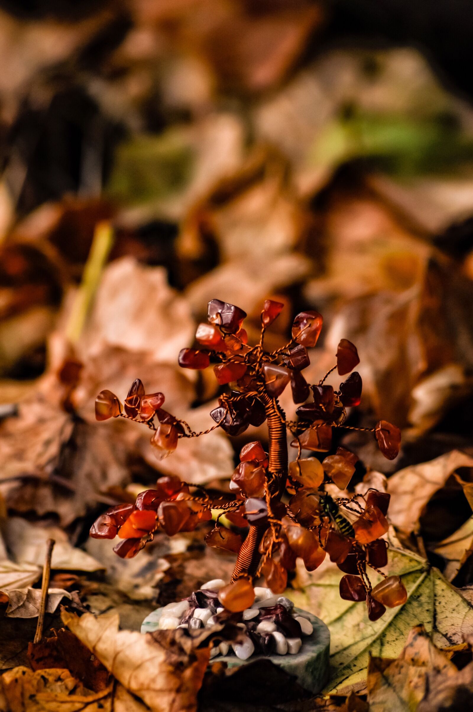 Nikon D90 sample photo. Gems, jewels, tree photography